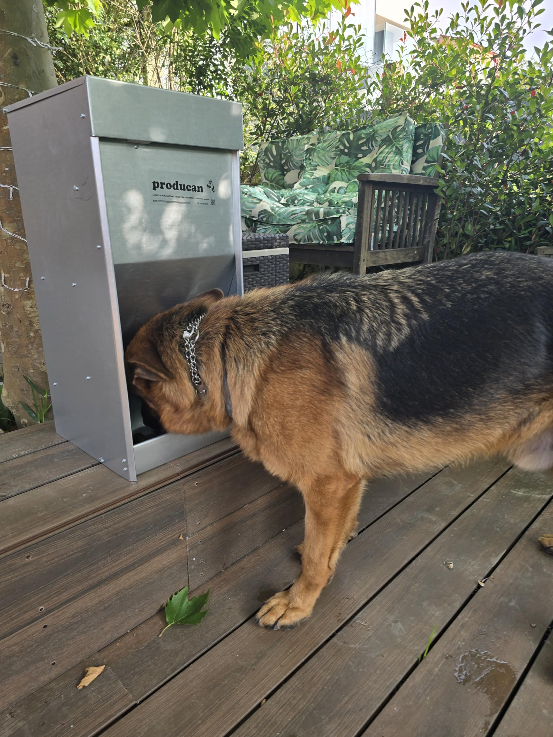 Comedero Automático Inteligente para Perros: Programable, 40 litros, Exterior Dispensador de Comida Profesional para Perros: Programable, Modelo P1