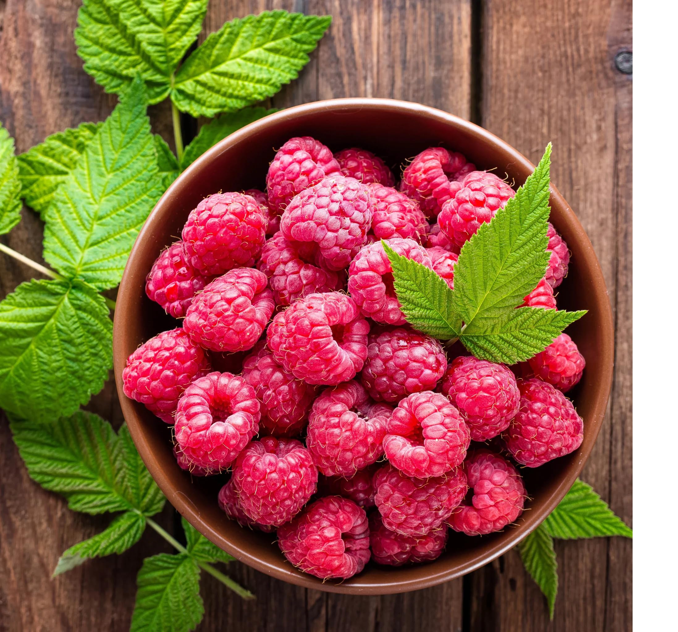 EVRR Dried Whole Raspberries 250gm Organic Raspberries Dry Fruits | Vegan | Tasty | Healthy - Image 4 thumbnail