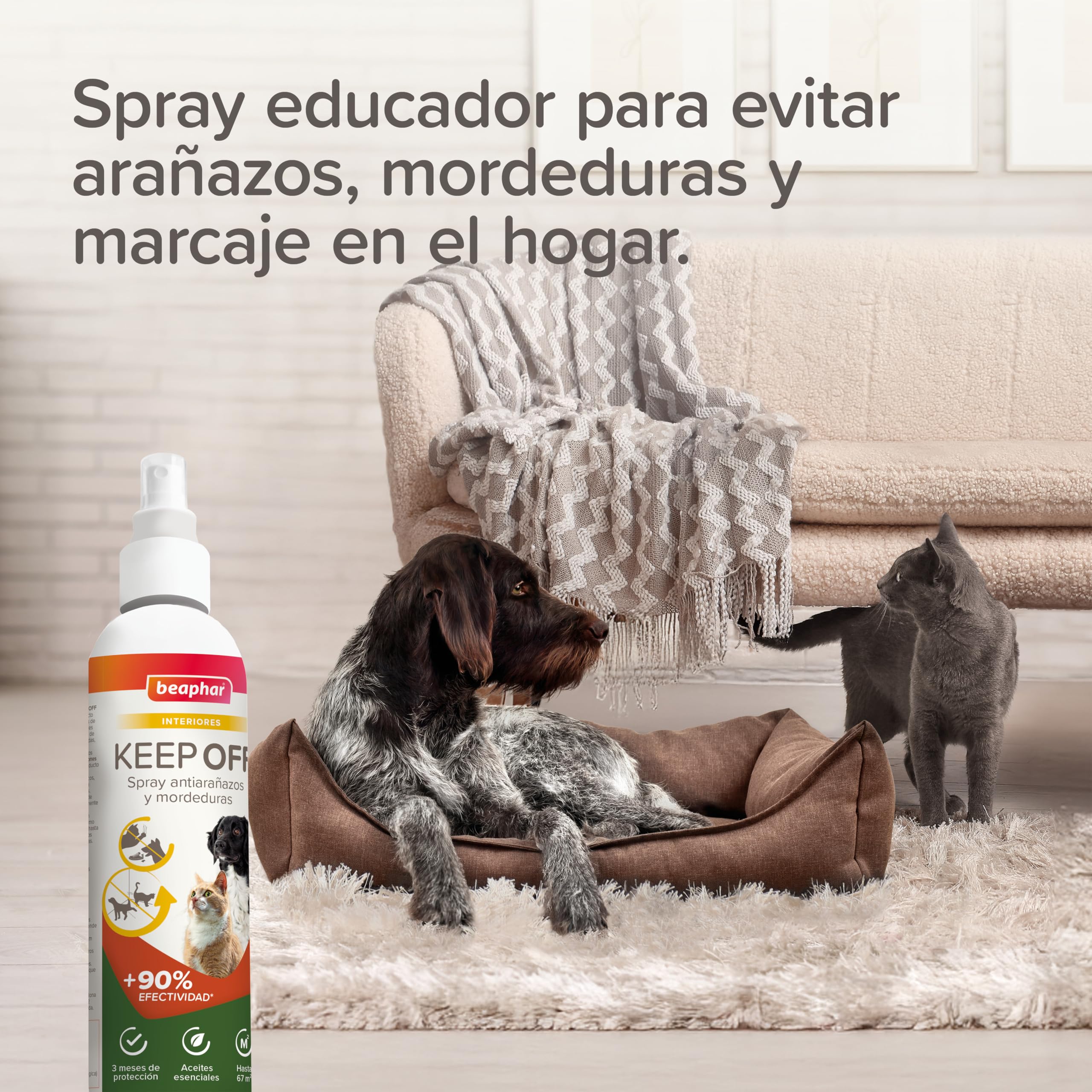 Beaphar Keep off - Spray Educatore Gatti e Cani - AntiGraffio - Antimuffa - Frena Le Cattive abitudini - Proteggi divani e mobili - Efficacia Repellente Immediata - con Oli Essenziali - 200 ml