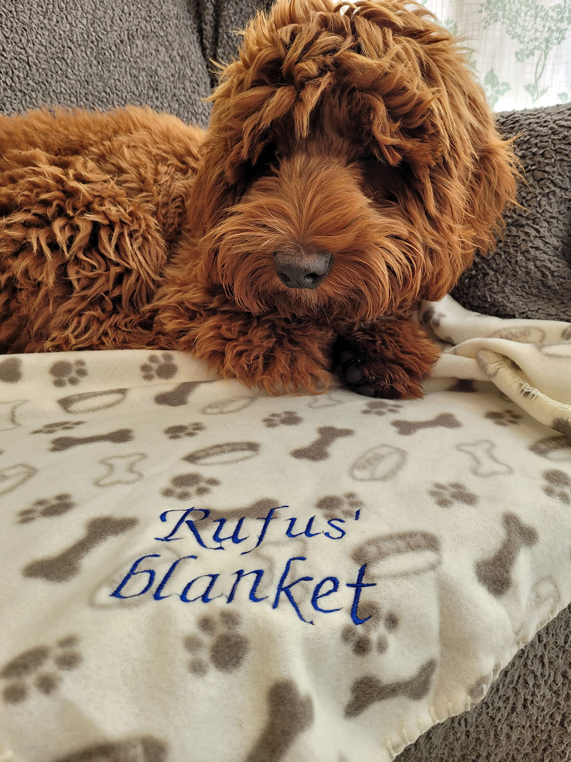 RochaCasa Personalised Dog Gift Blanket with Embroidered Name Cream
