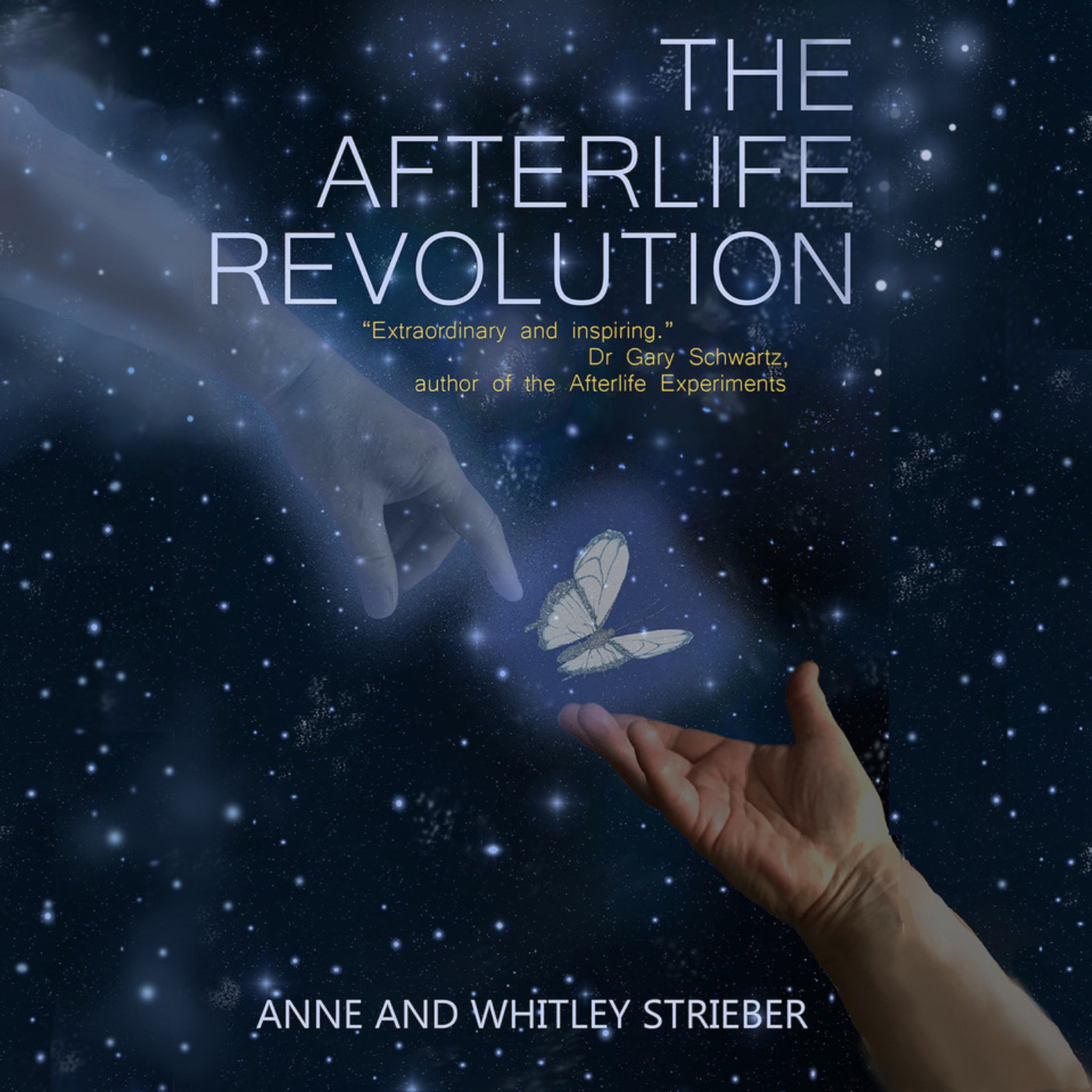 Cover art for The Afterlife Revolution