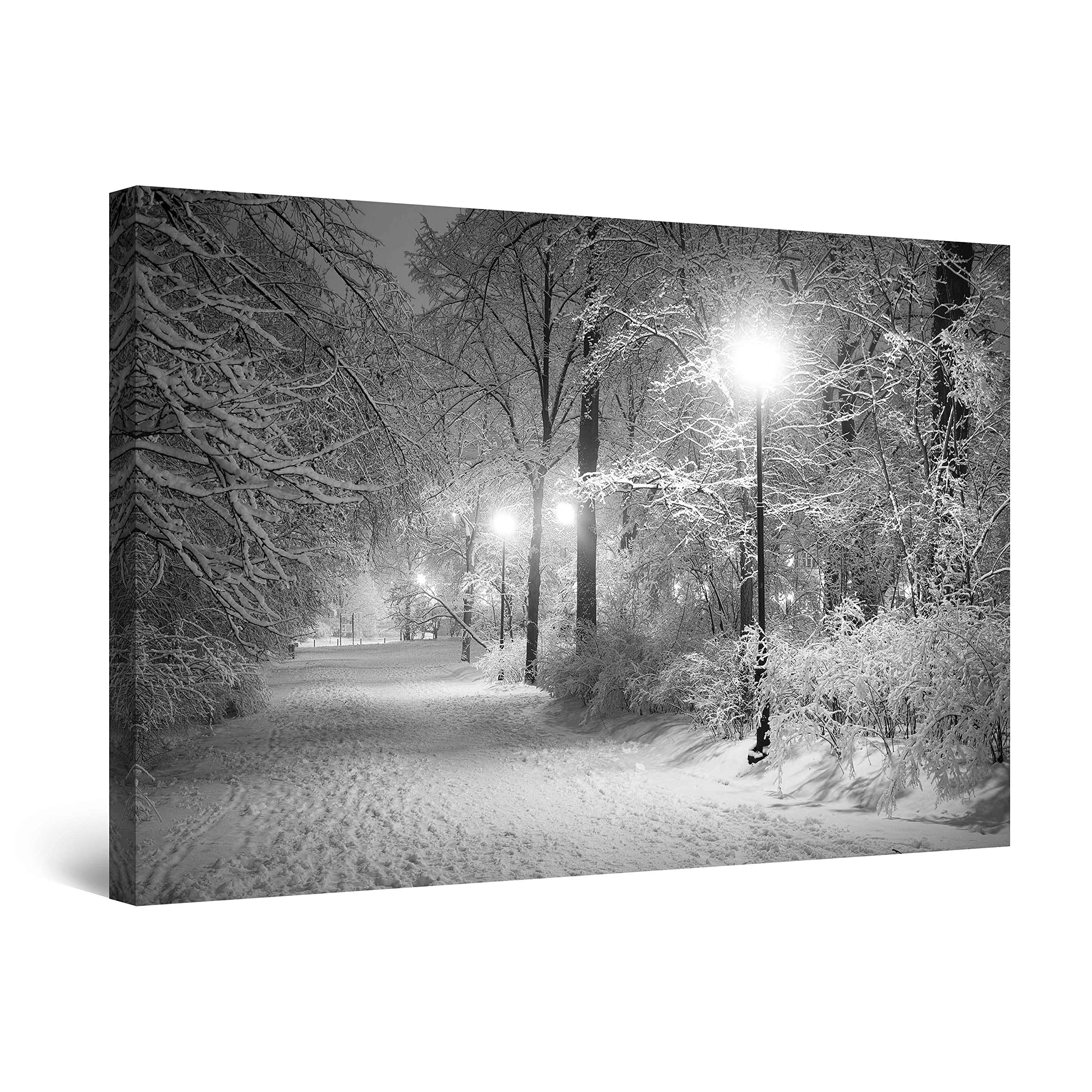 Startonight Canvas Wall Art Black and White Abstract Winter Park Landscape, Framed Artwork Picture Decor for Bedroom, Unique Luminous Wall Art Minimalism Art 60 cm x 90 cm Day & Night Effect