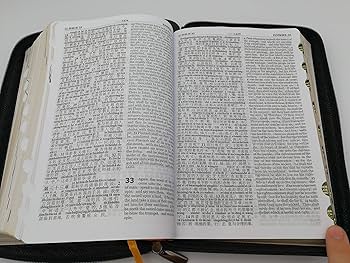 Amazon.co.jp: 高級英語 - 中国語 - ピン 陰 バイブル ブラック