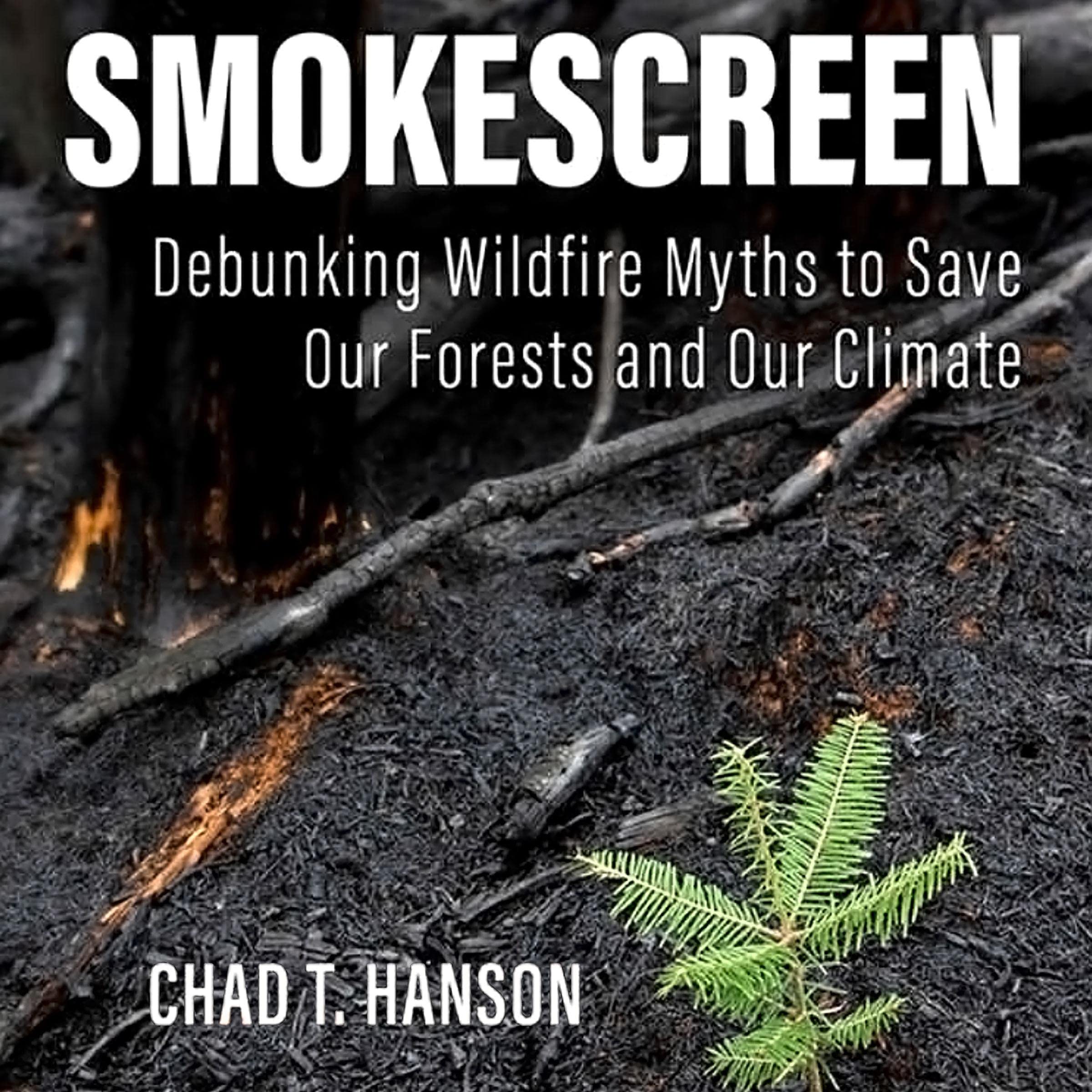 Cover art for Smokescreen