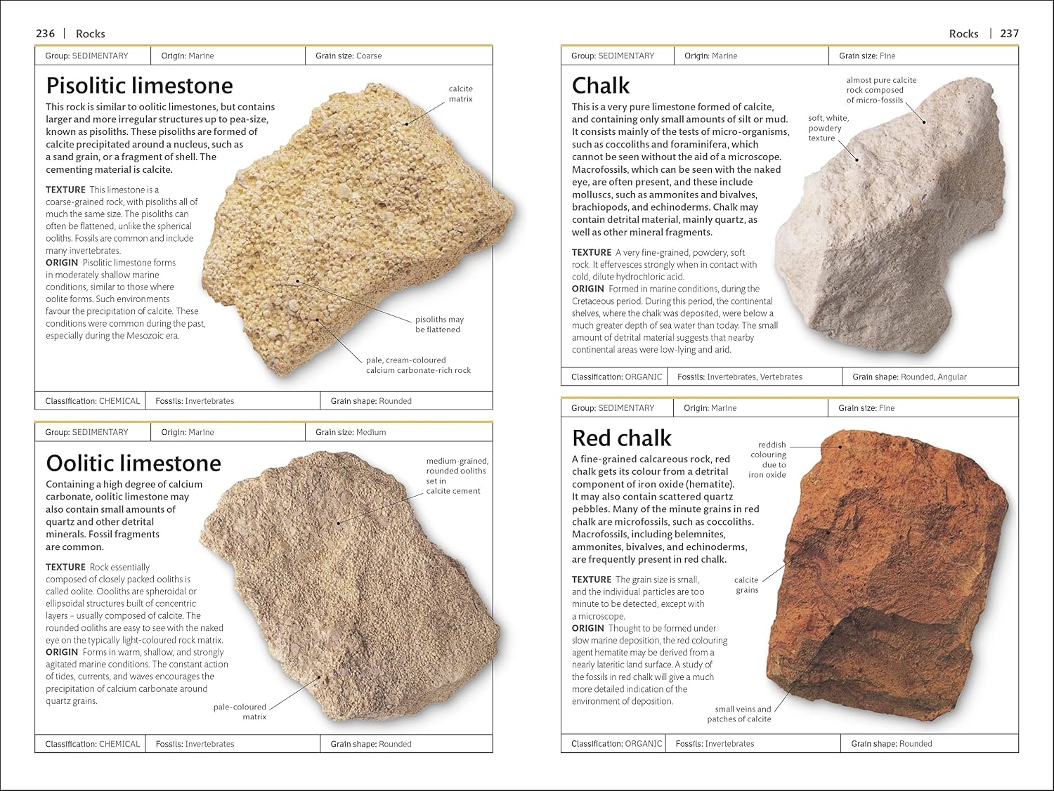 Rocks and Minerals (DK Handbooks)