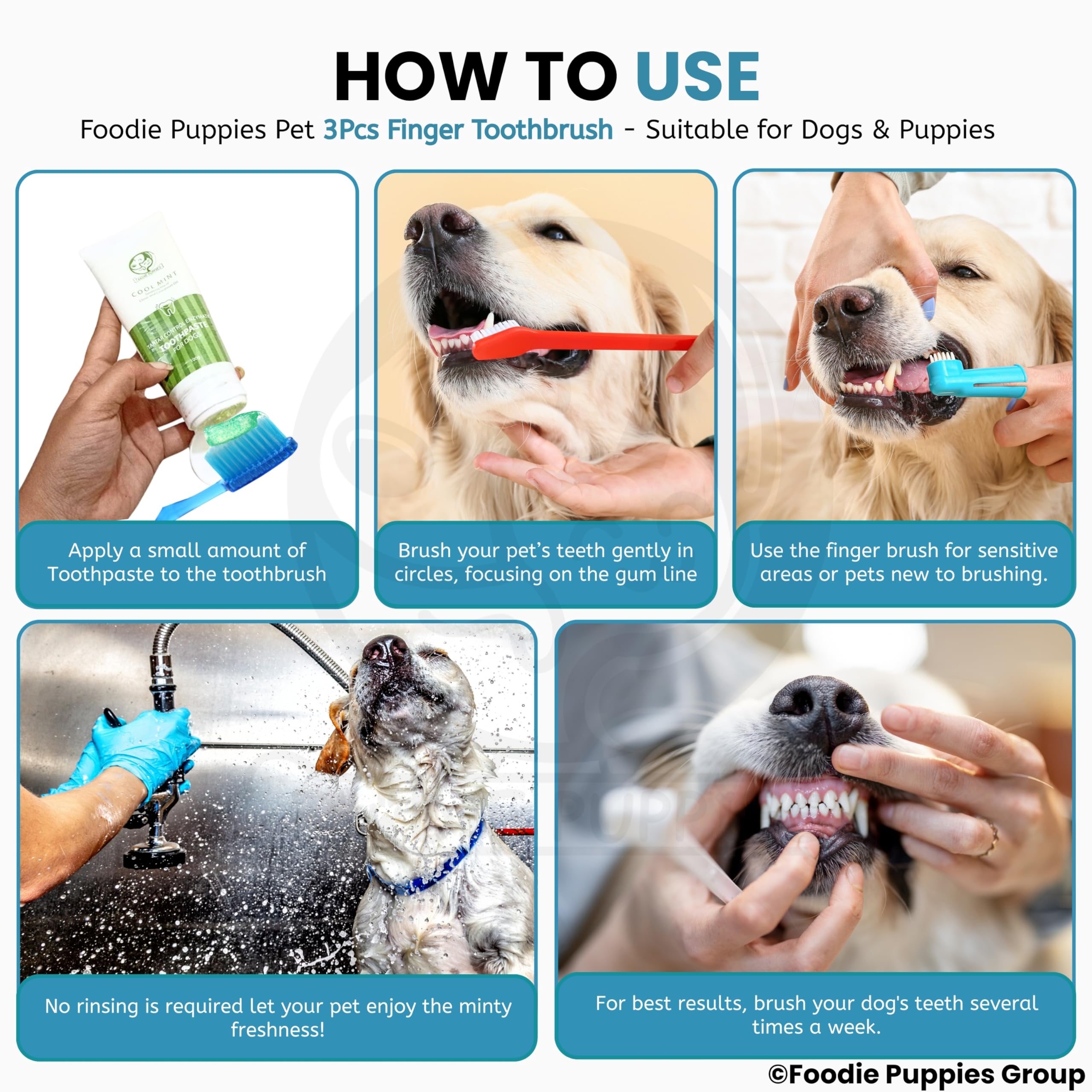 Foodie Puppies Dog Dental Toothbrush Set of 2 with 1 Double Headed Brush, Finger Toothbrush All Breed Cats, Dogs, and Puppies (Color May Vary) 3