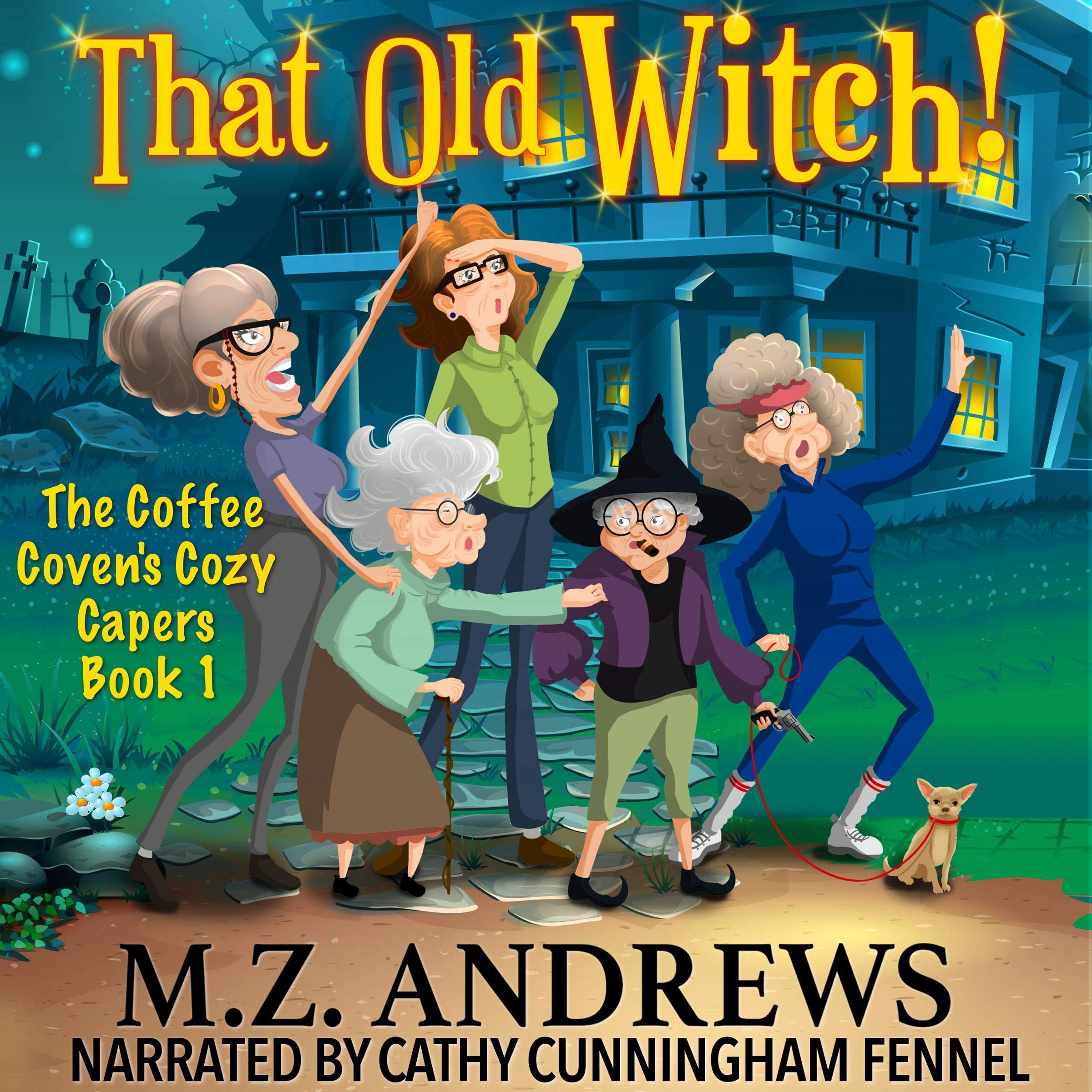 Cover art for That Old Witch!