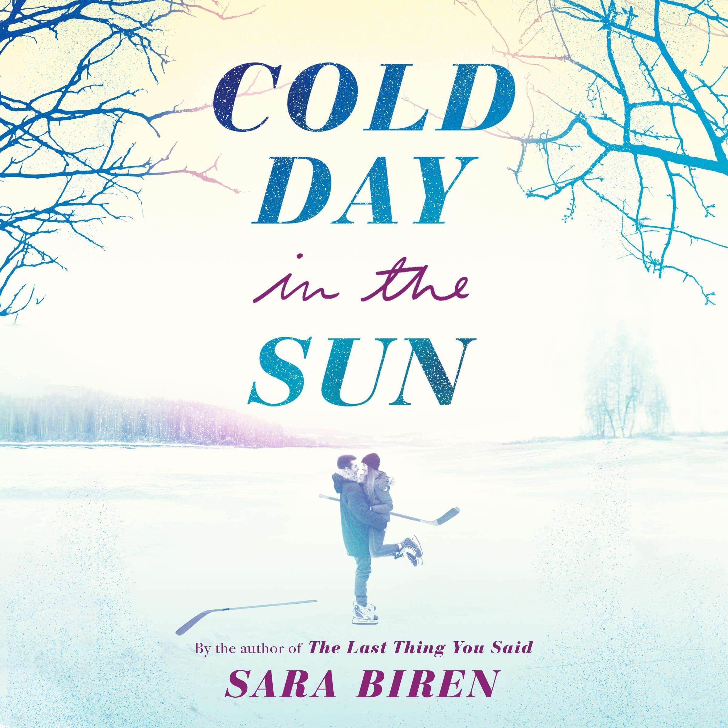 Cover art for Cold Day in the Sun
