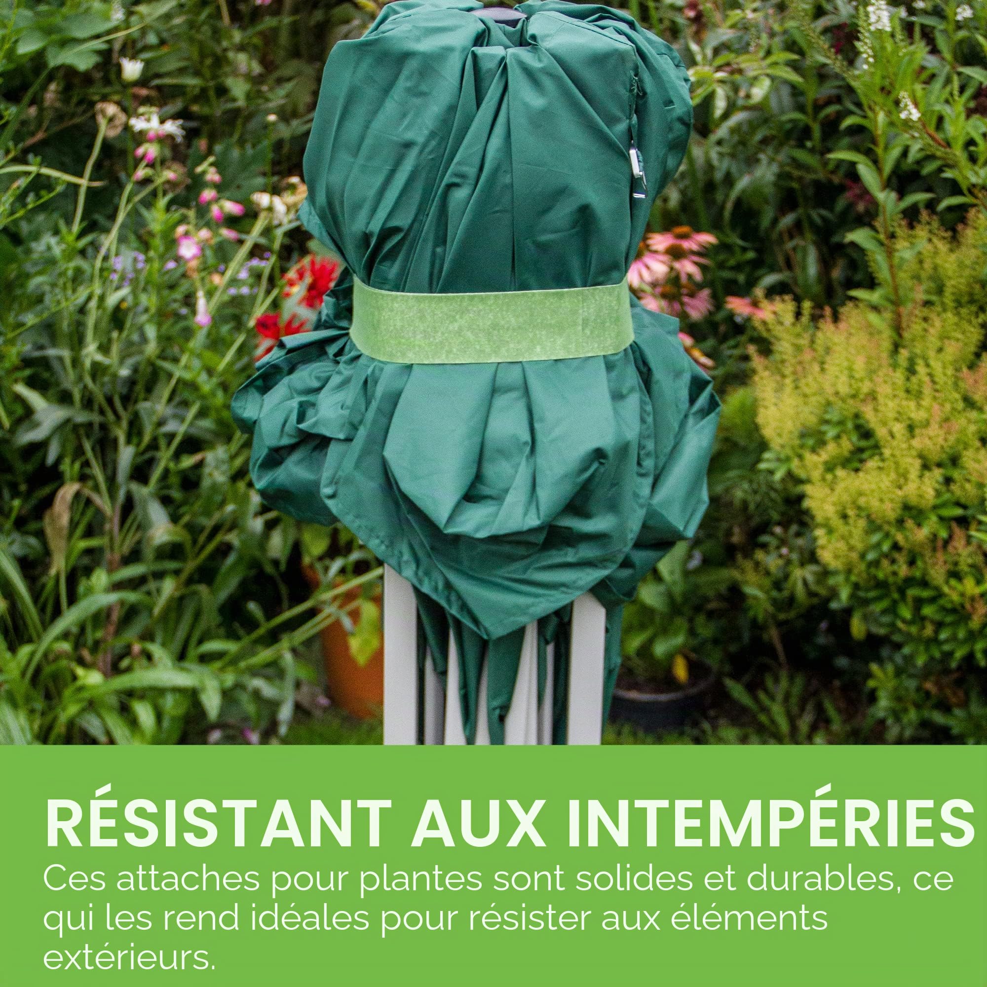 Velcro Marque One-Wrap Ruban Auto-Agrippant Pour Plantes, 12 Mm X 5 M, Vert - Solution Sécurisée Réutilisable Et Respectueuse Des Plantes Pour Sangles D’Attaches Pour Les Arbres Et Plantes