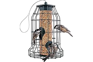 Squirrel Resistant Bird Feeders for Small Birds