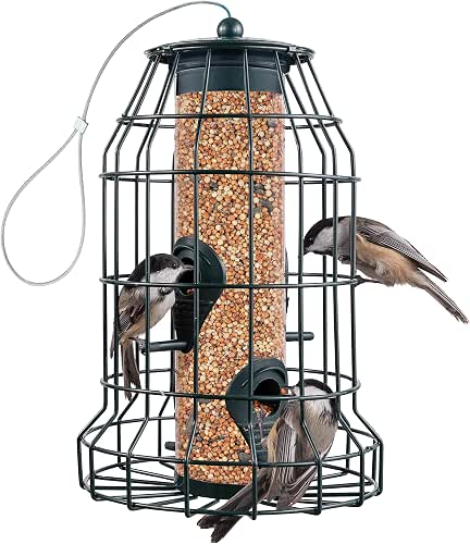 Squirrel Resistant Bird Feeders 22 oz. Bird Feeder with 4