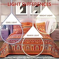 Vista 100 de VAPUTAR Juego de ropa de cama tamaño Queen – 3 piezas, edredón bohemio, colcha reversible ligera para dormitorio de granja (floral)