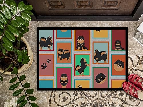 Vista 381 de Caroline's Treasures MLM1087MAT - Felpudo de perro de montaña bernés de 18 x 27 pulgadas, para interiores y exteriores, para entrada, Bernese