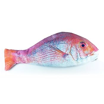 おさかなさん専用ページ Amazon | オルルド釣具 おさかなさん 魚型 ポーチ 小物入れ ペン