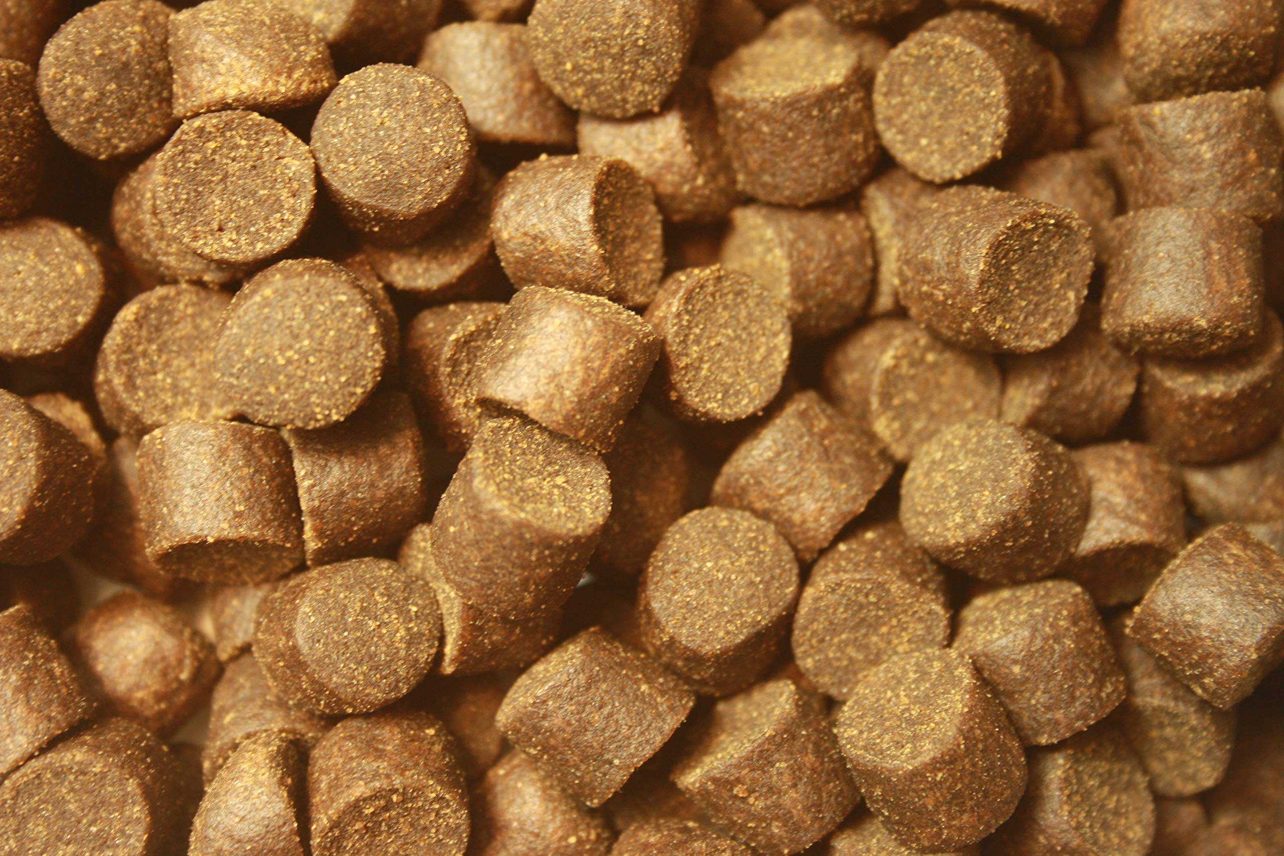 Störfutter extragroß 10mm Energiefutter für Störe, Tomodachi Premium Störsinkfutter deutsche Top Qualität, Störfutter ideal für das ganze Jahr, energiereich, hochverdaulich, arktische Rohstoffe 10kg