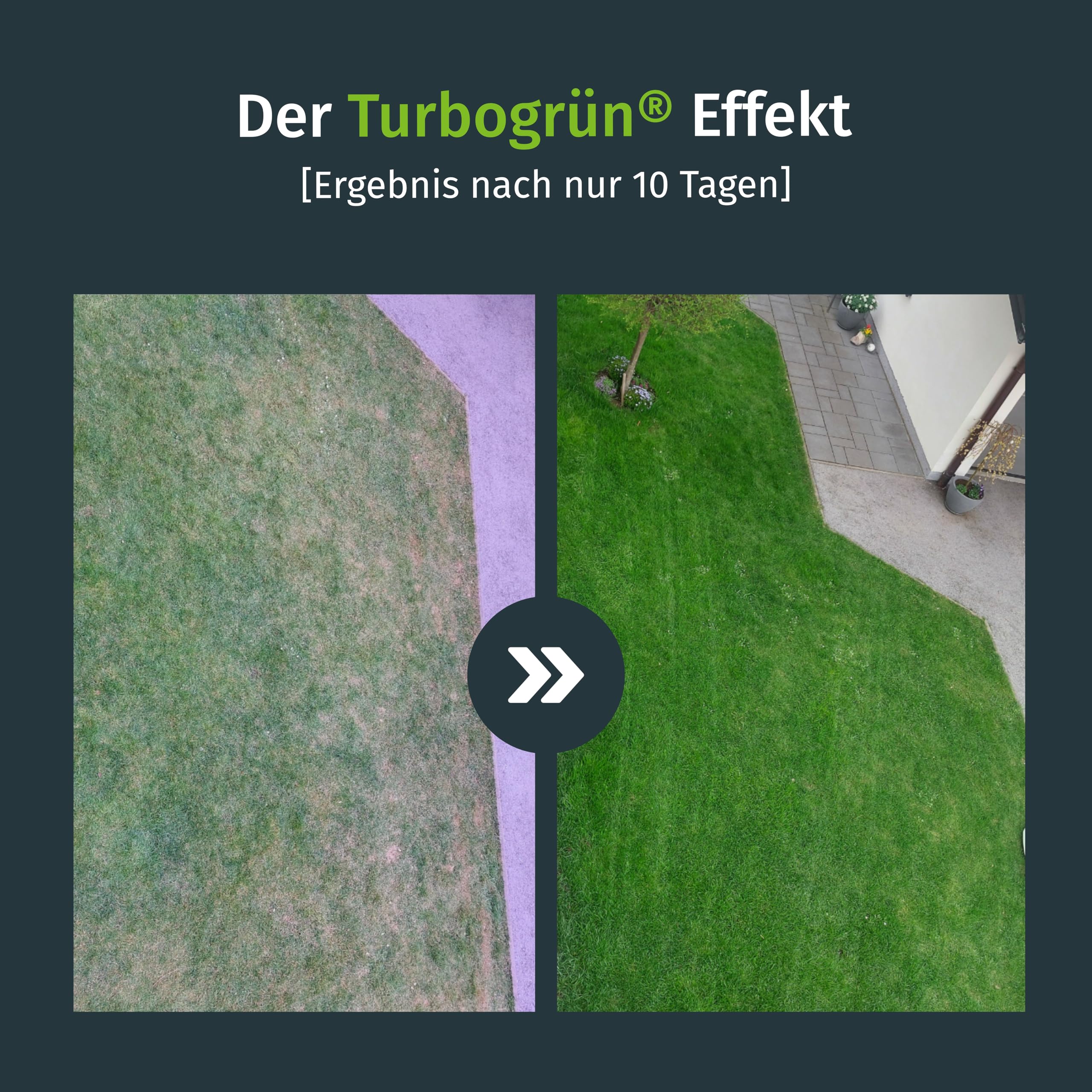 Turbogrün Bio Rasendünger Frühjahr, 5kg für 60m², organischer Rasendünger, ideal für Frühjahr und Sommer, geeignet für Streuwagen, staubarmes Granulat