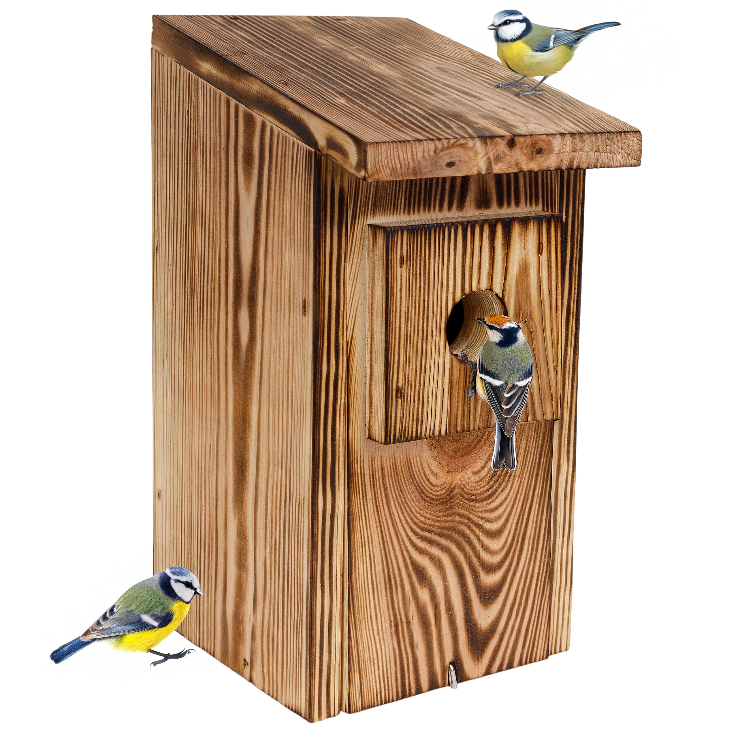 Creative Home Nichoir pour Oiseaux Résistant aux Intempéries | Nichoir Exterieur en Pin Flammé | Protection Contre Les Prédateurs | Convient aux Mésanges, Moineaux Friquets, Mésange Noire