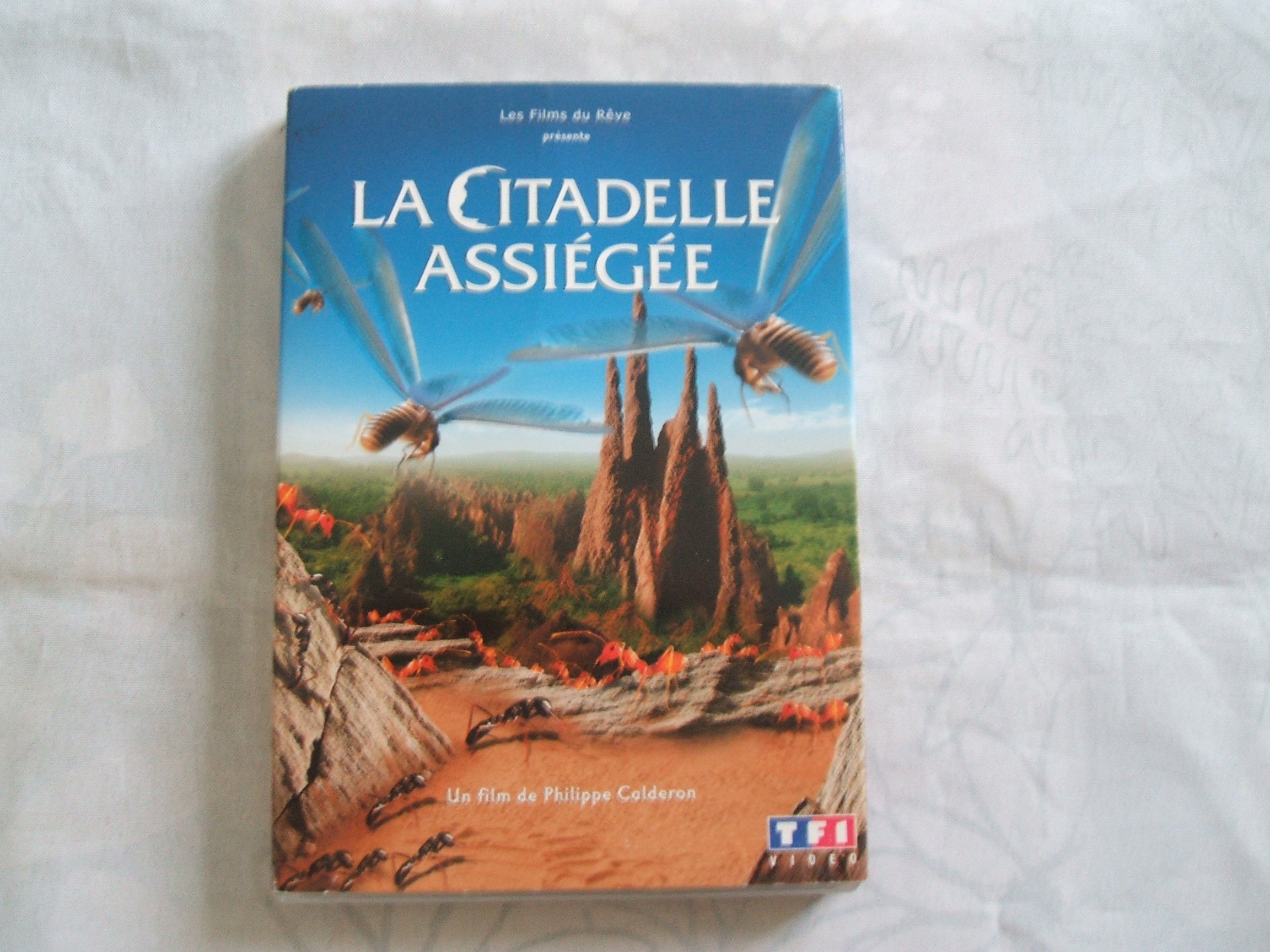 La citadelle assiégée