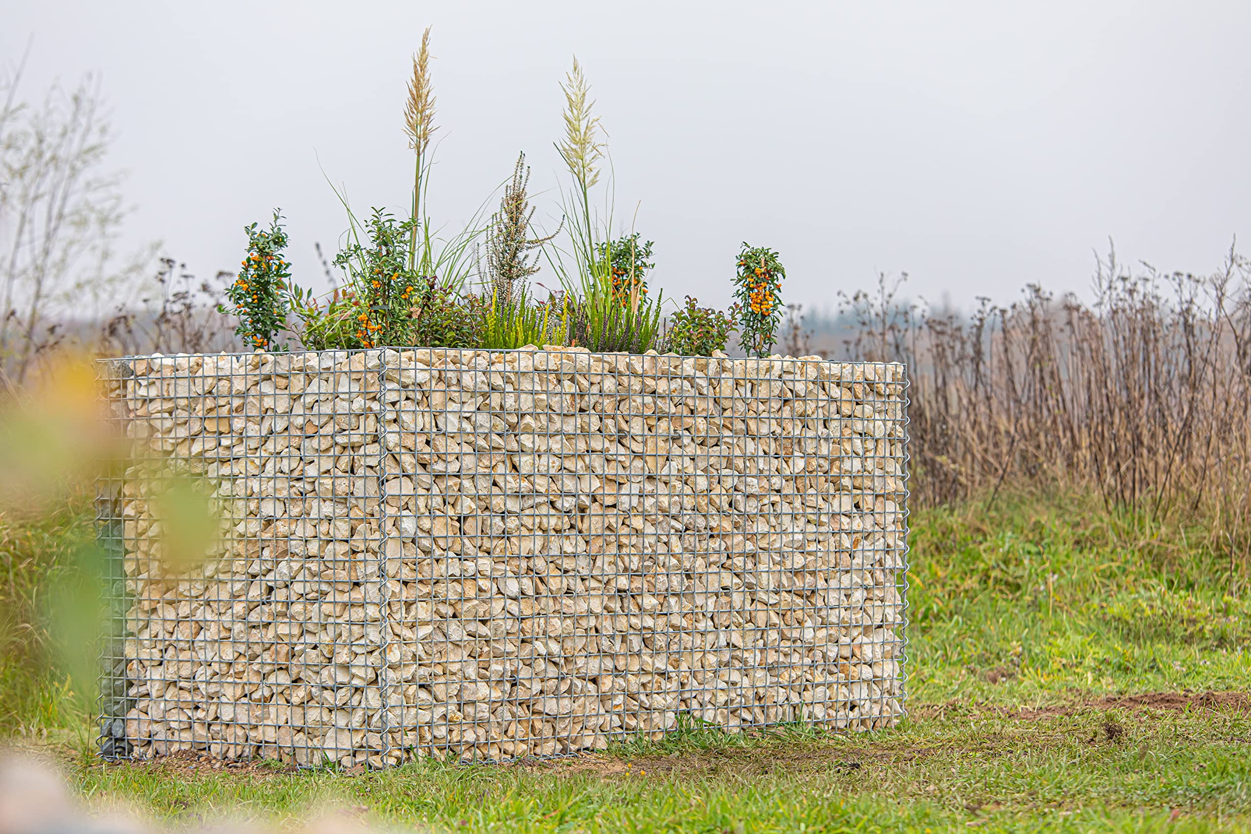 Plate-Bande Surélevée En Gabion GABIONA 100x50x100 Cm - Panier à Gabion Carré Pour Jardin Avec Maille 5x5 Cm