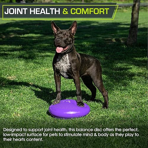 Miniatura 5 de ProsourceFit Entrenador de disco de equilibrio de núcleo, 14 pulgadas de diámetro con bomba para mejorar la postura, el estado físico y la