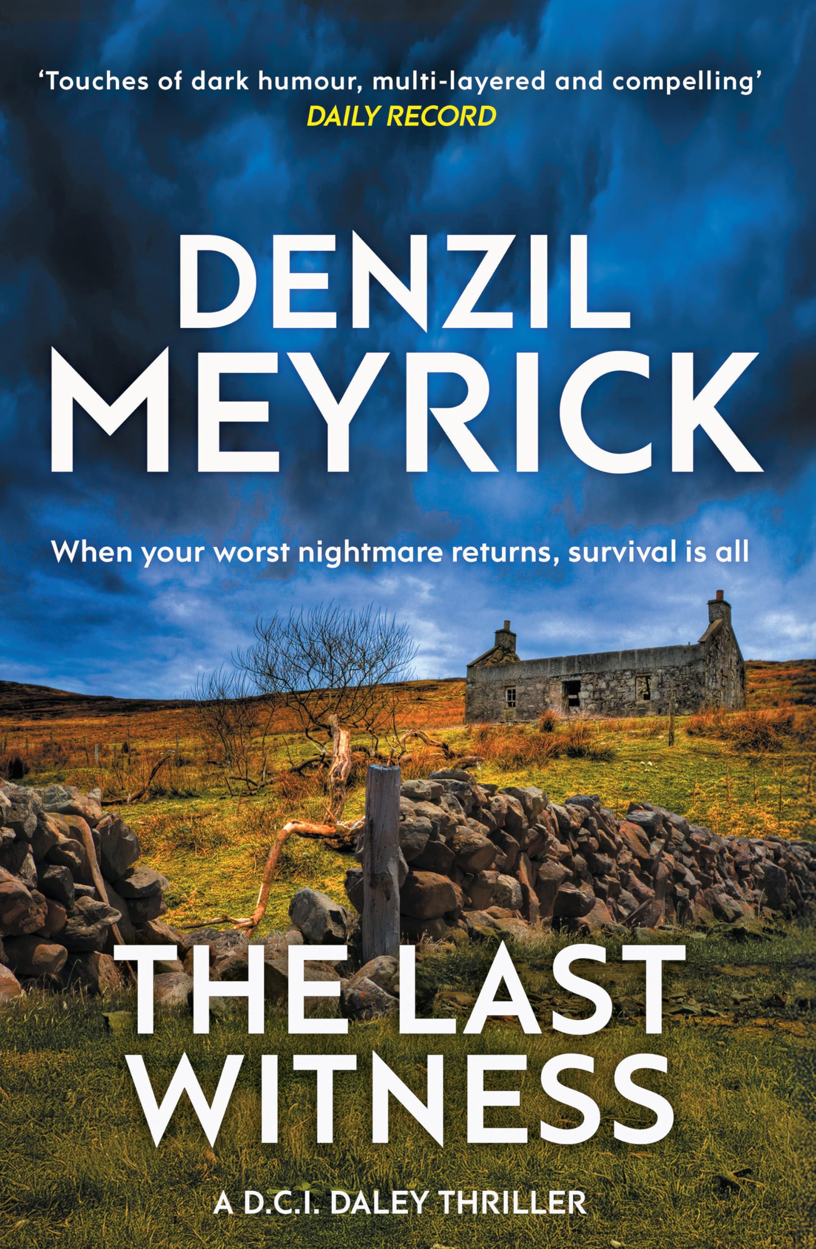 Denzil Meyrick The Last Witness Paperback Fiction Book