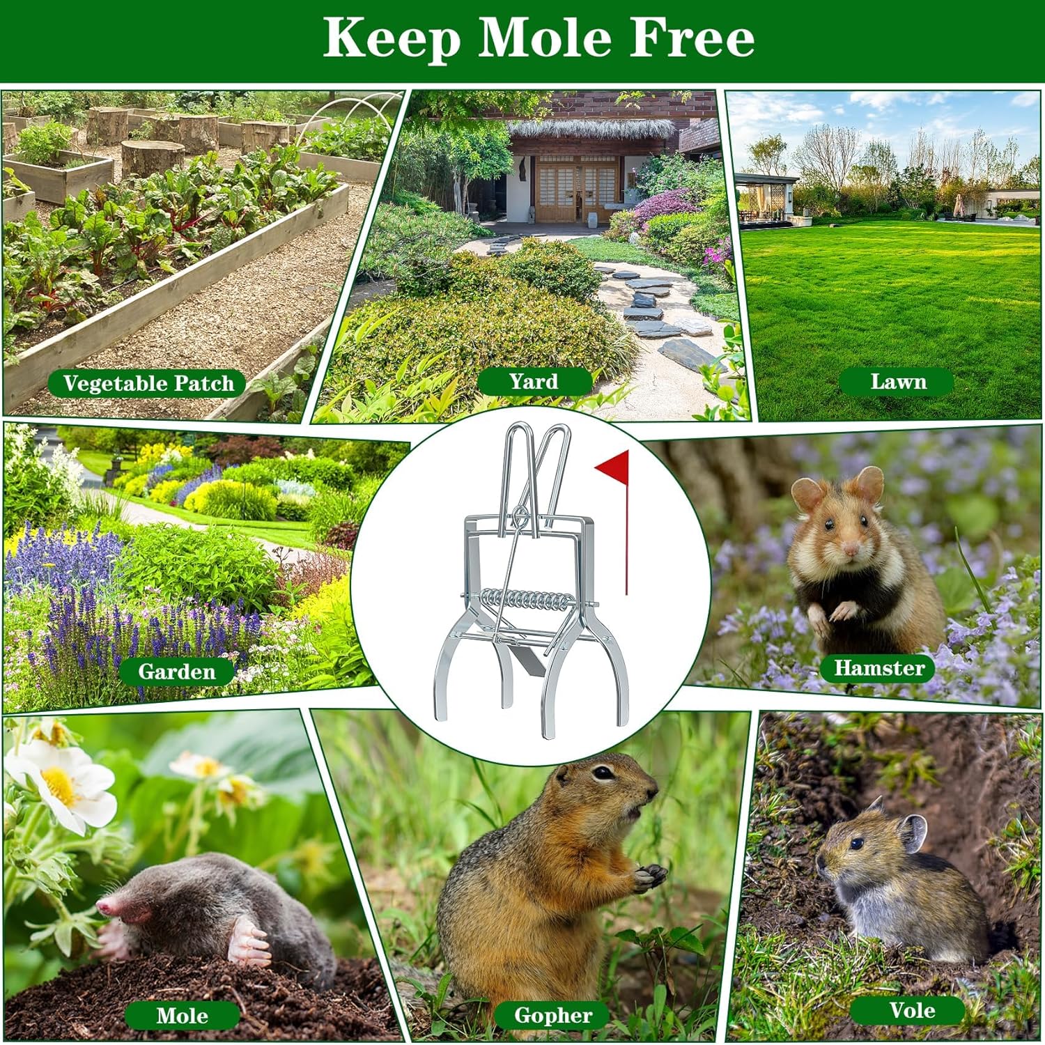 4 Pack Mole Traps that Kill Best, Mole Trap Easy to Set, Galvanized Steel Gopher Traps for Lawns, Reusable Quick Capture Gopher Hawk Vole Trap Outdoor Use
