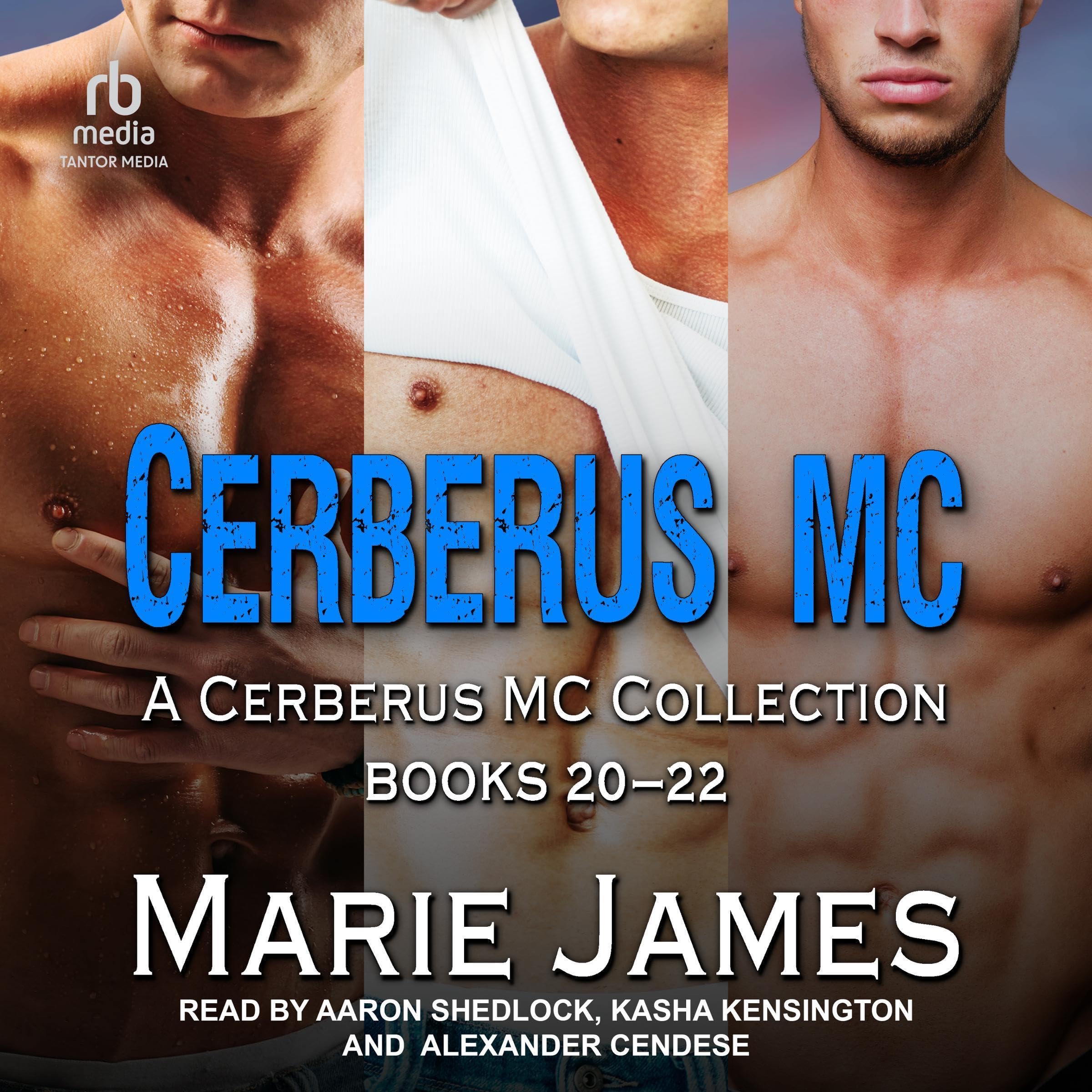 Cover art for Cerberus MC Box Set 6
