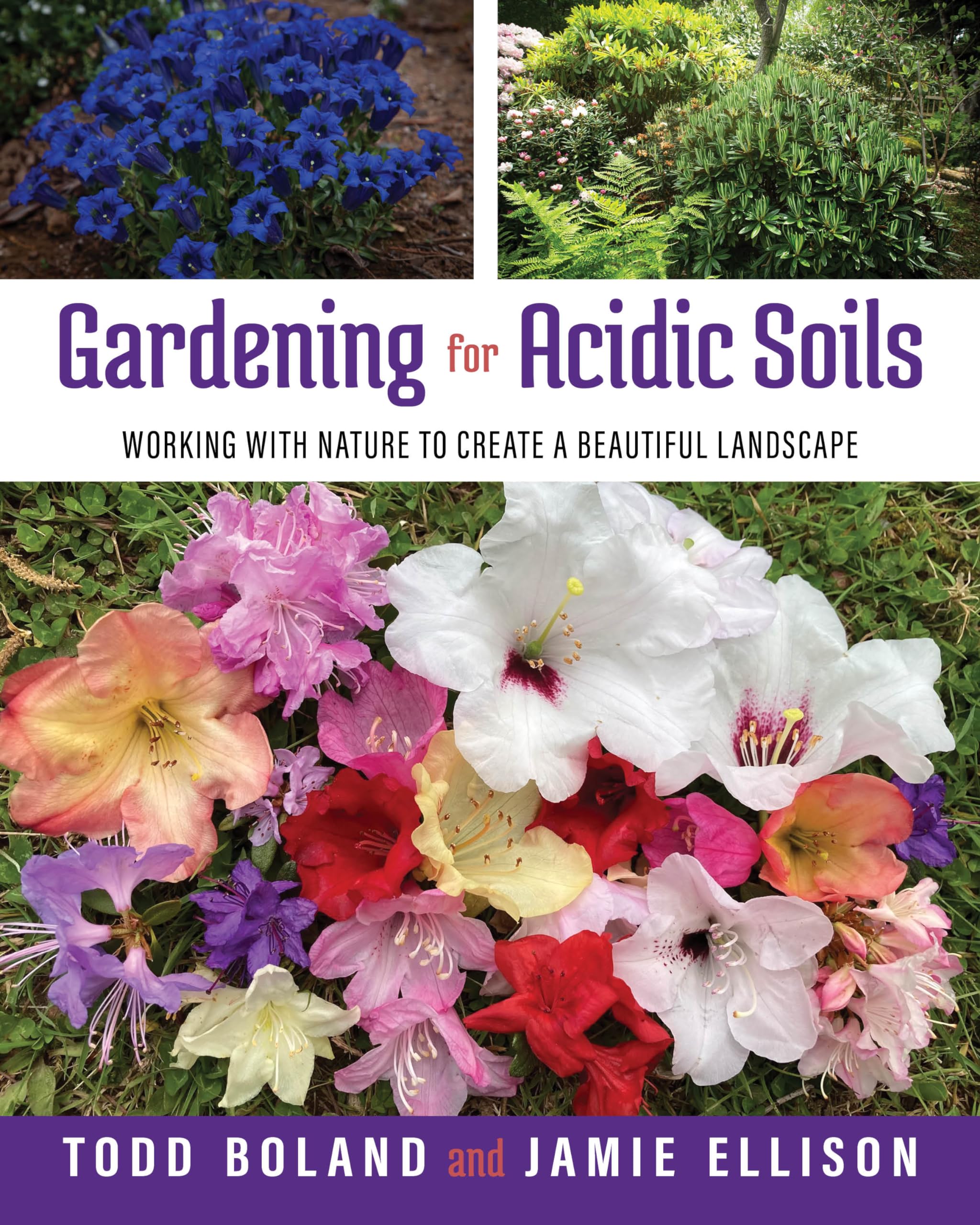 Gardening for Acidic Soils: Working with Nature to Create a Beautiful Landscape