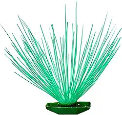 Tudo Pet Acorus Simples Para Peixes