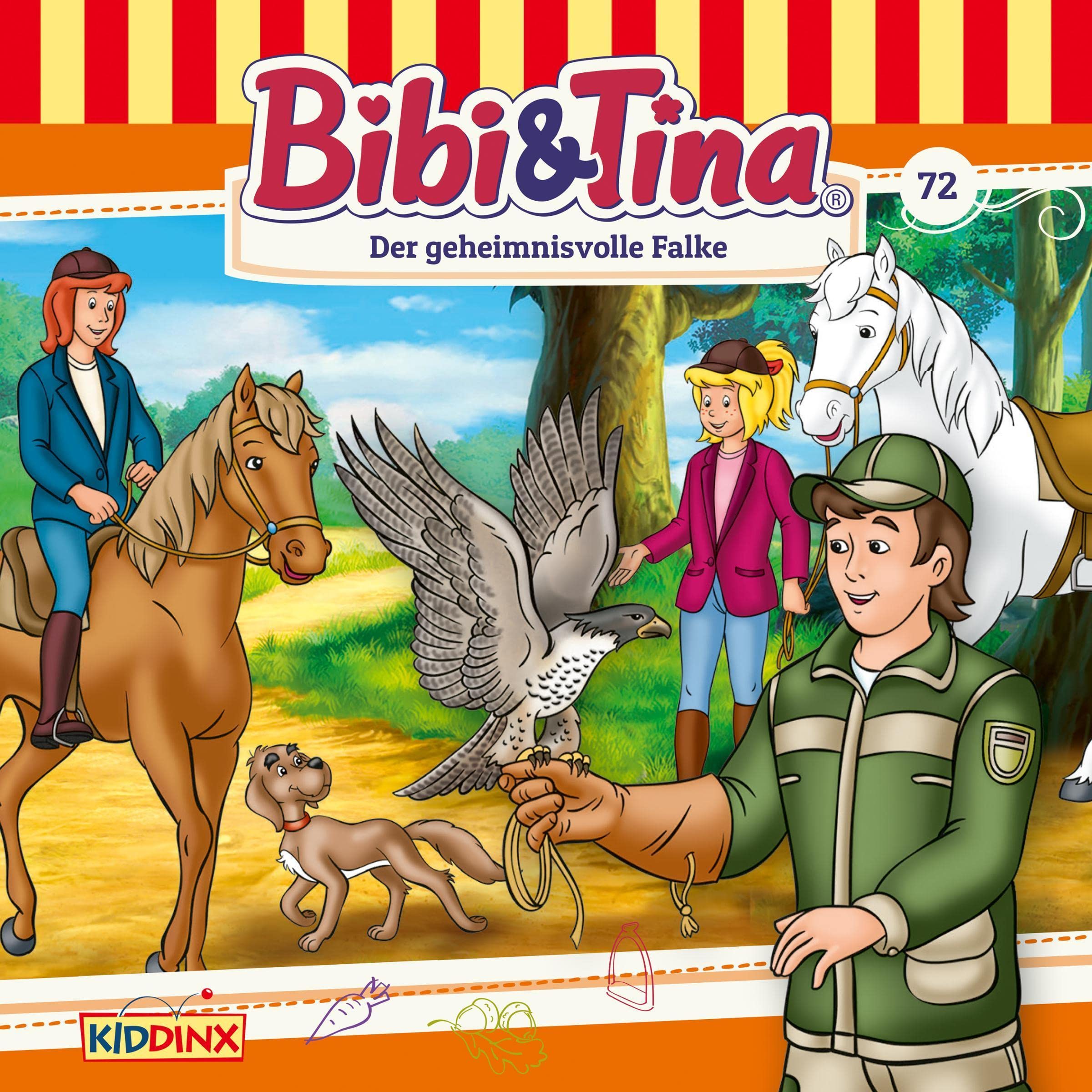 Cover art for Der geheimnisvolle Falke