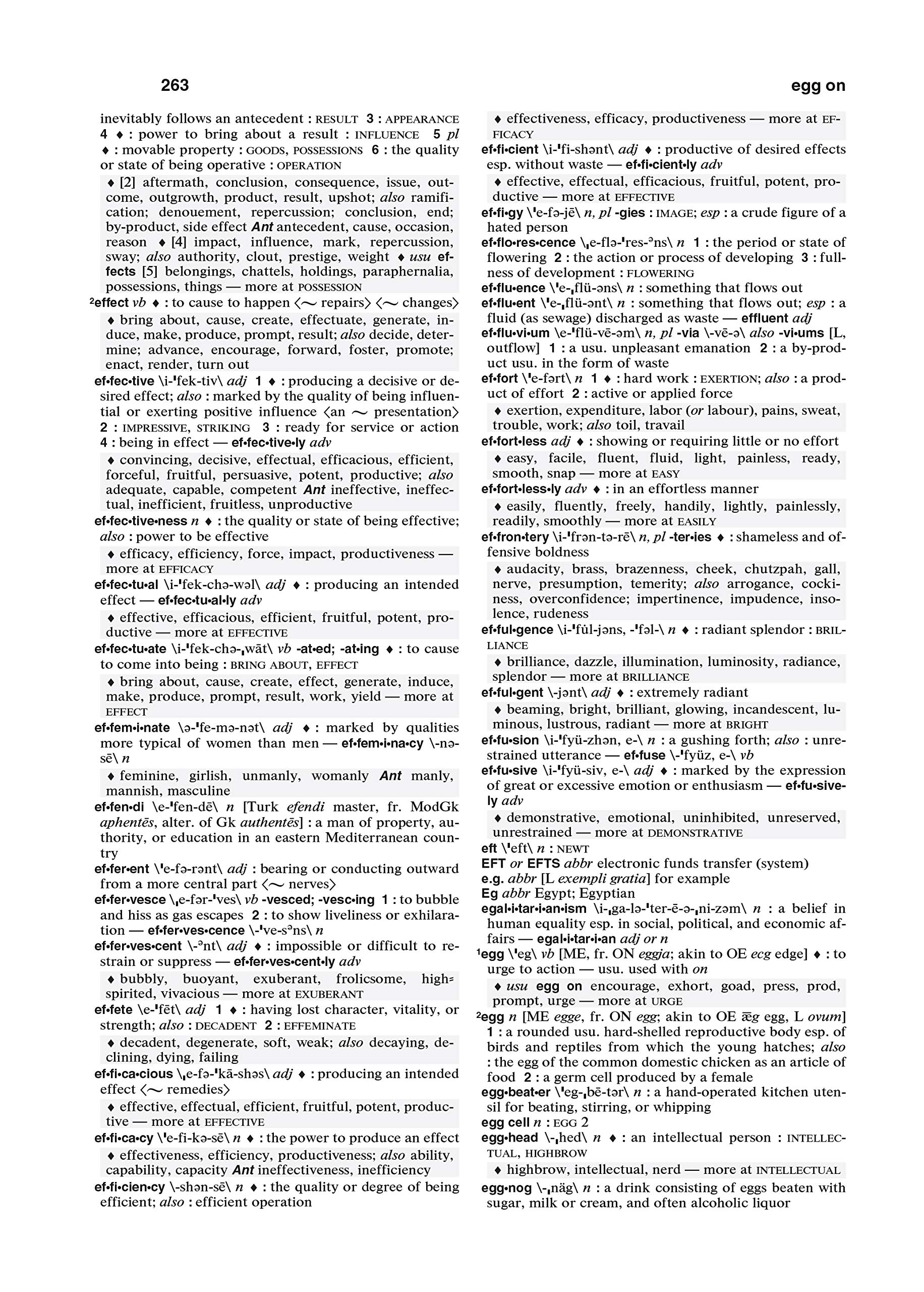 Merriam-Webster's Dictionary and Thesaurus - Image 7