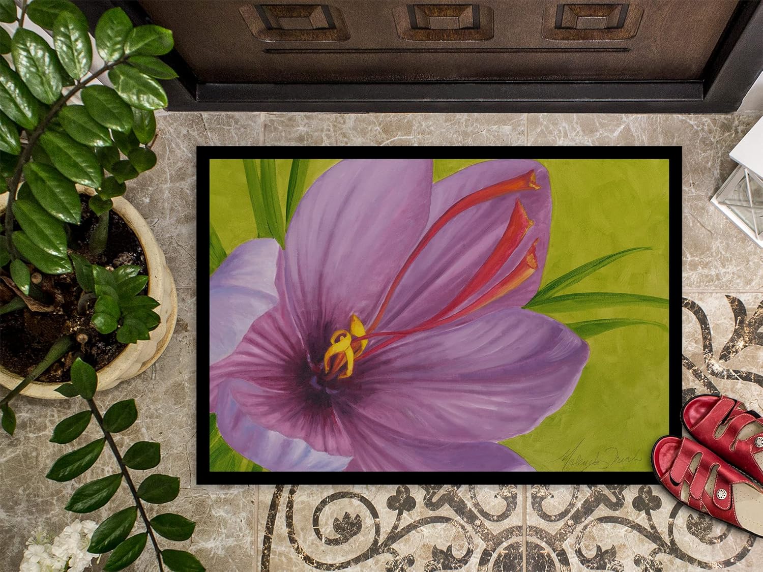 Caroline's Treasures TMTR0227JMAT Floral by Malenda Trick Doormat 24x36 Front Door Mat Indoor Outdoor Rugs for Entryway, Non Slip Washable Low Pile, 24H X 36W