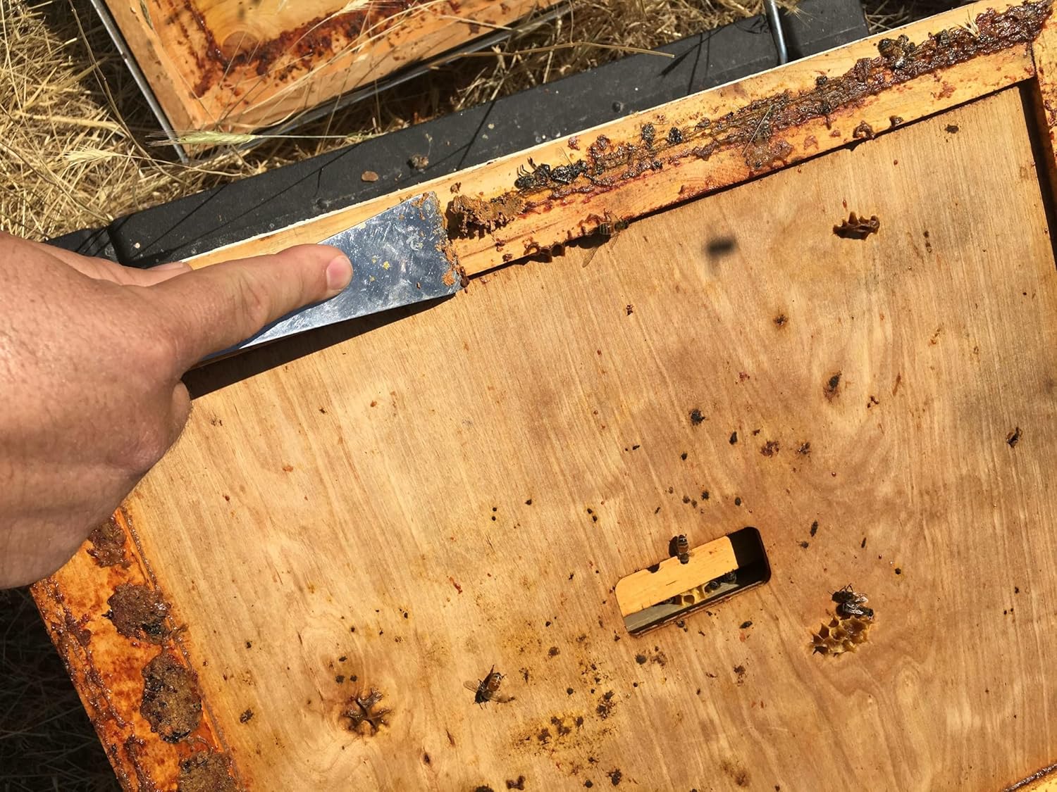 Harvest Lane Honey WWIC-101 Inner Beehive Cover