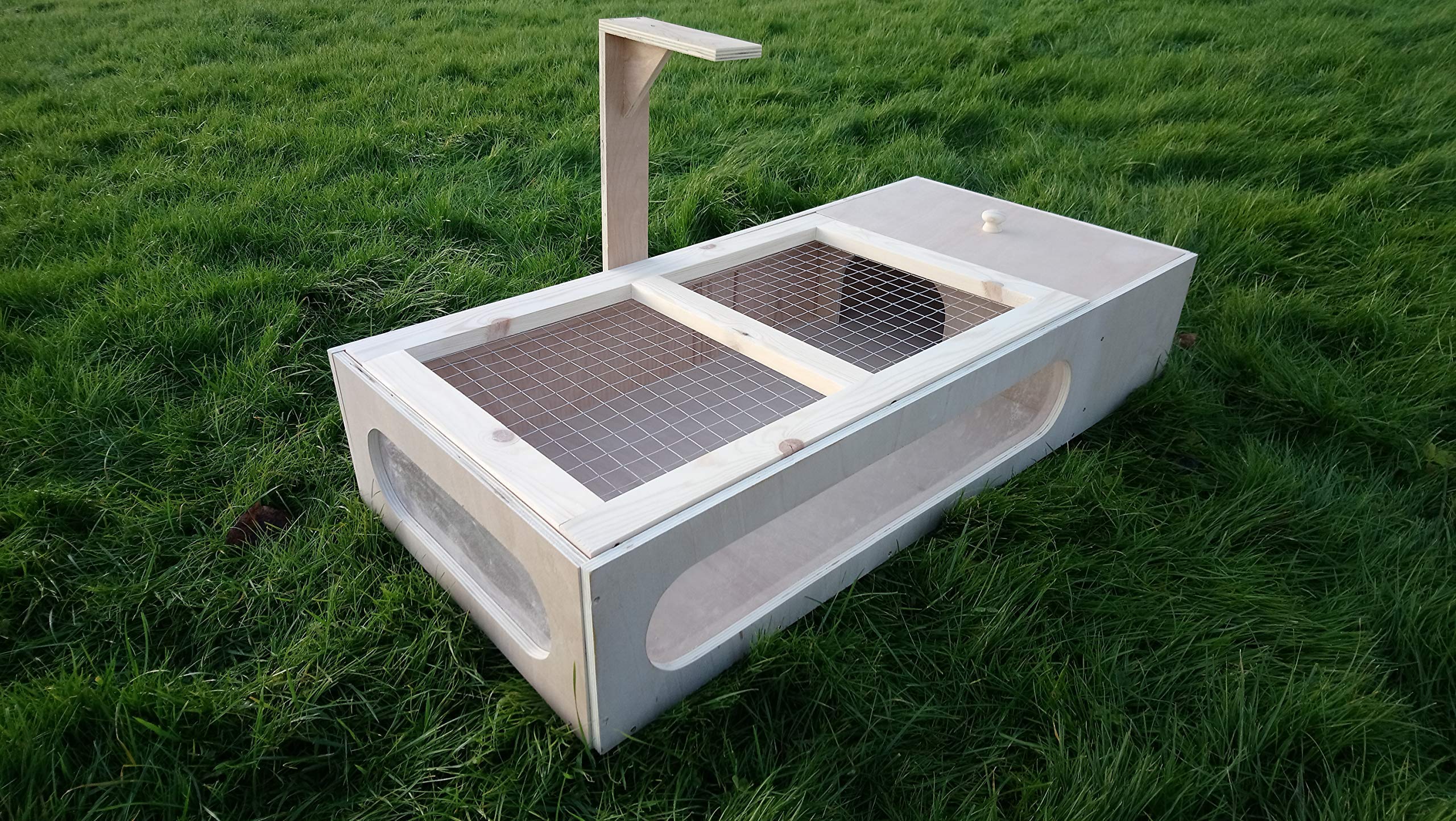 tortoise vivarium starter kit