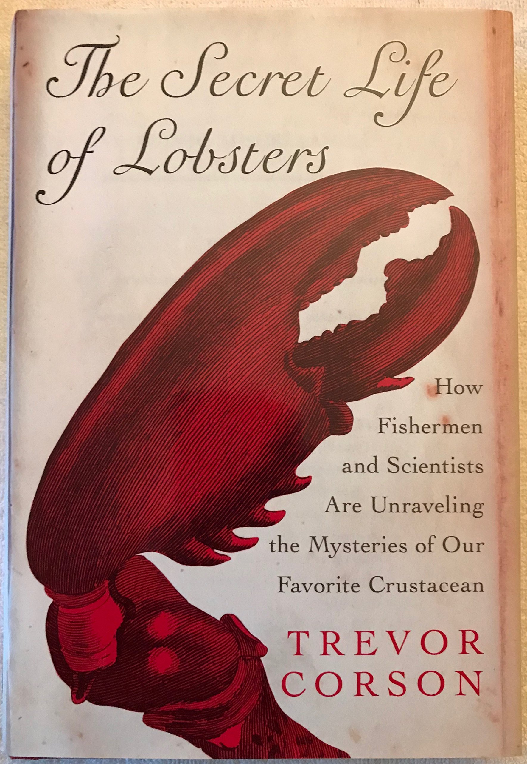 Lobsters And Air:  The Unexpected Breathing Secret Revealed! - 8v1gg53