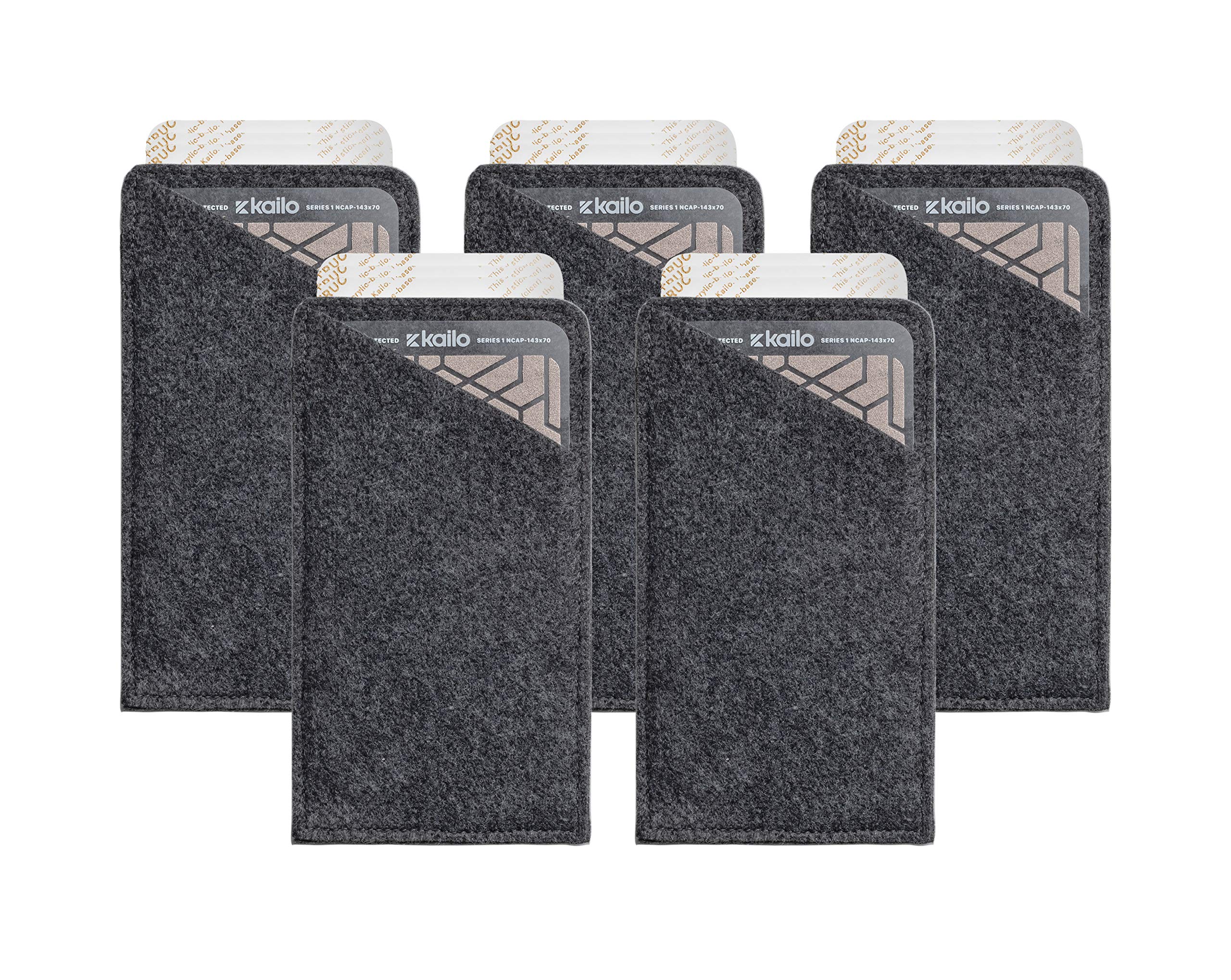 Buy Kailo Family Pack Nanotech BioAntenna Pain Patch Interacts