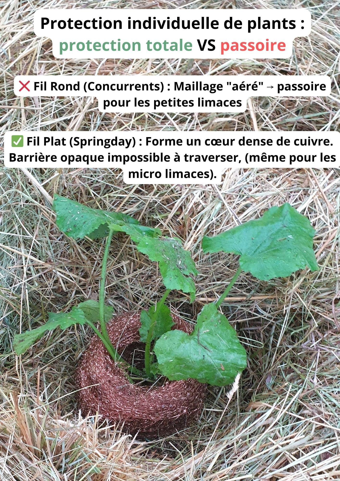 Springday Filet Anti limaces et escargots cuivre (Fil Plat 2.0) - Répulsif Naturel 10m x 15cm - Barrière Double Mailles avec 20 piquets Bambou & ebook - Protection Potager Permaculture