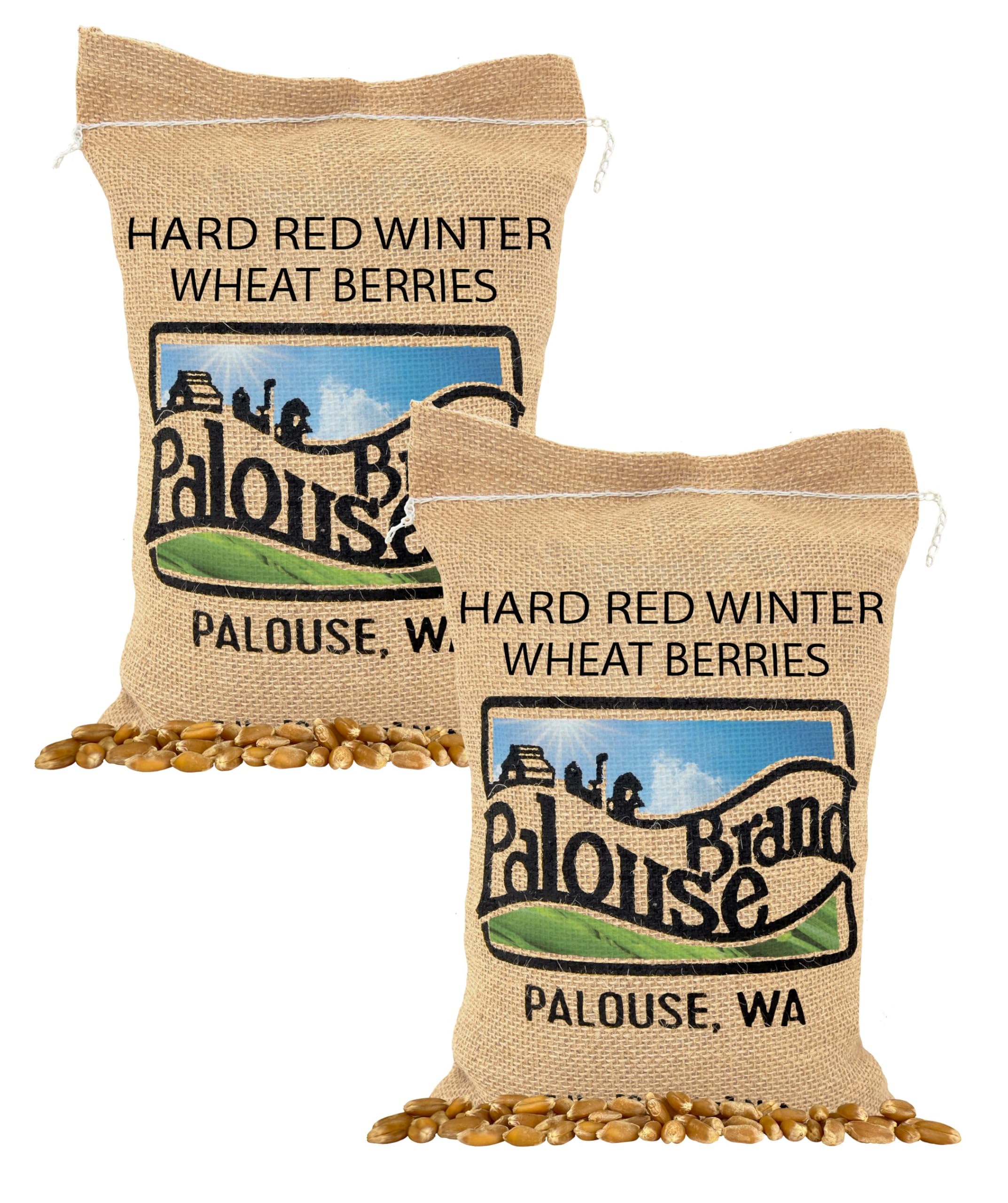 Palouse Brand Certified Glyphosate Residue Free Hard Red Winter Wheat Berries | 10 LBS | Family Farmed in Washington State | Non-GMO Project Verified | Certified Kosher Parve Bag