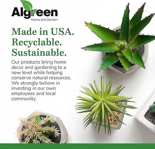 Miniatura 7 de Algreen Acerra - Maceta de compuesto resistente a la intemperie