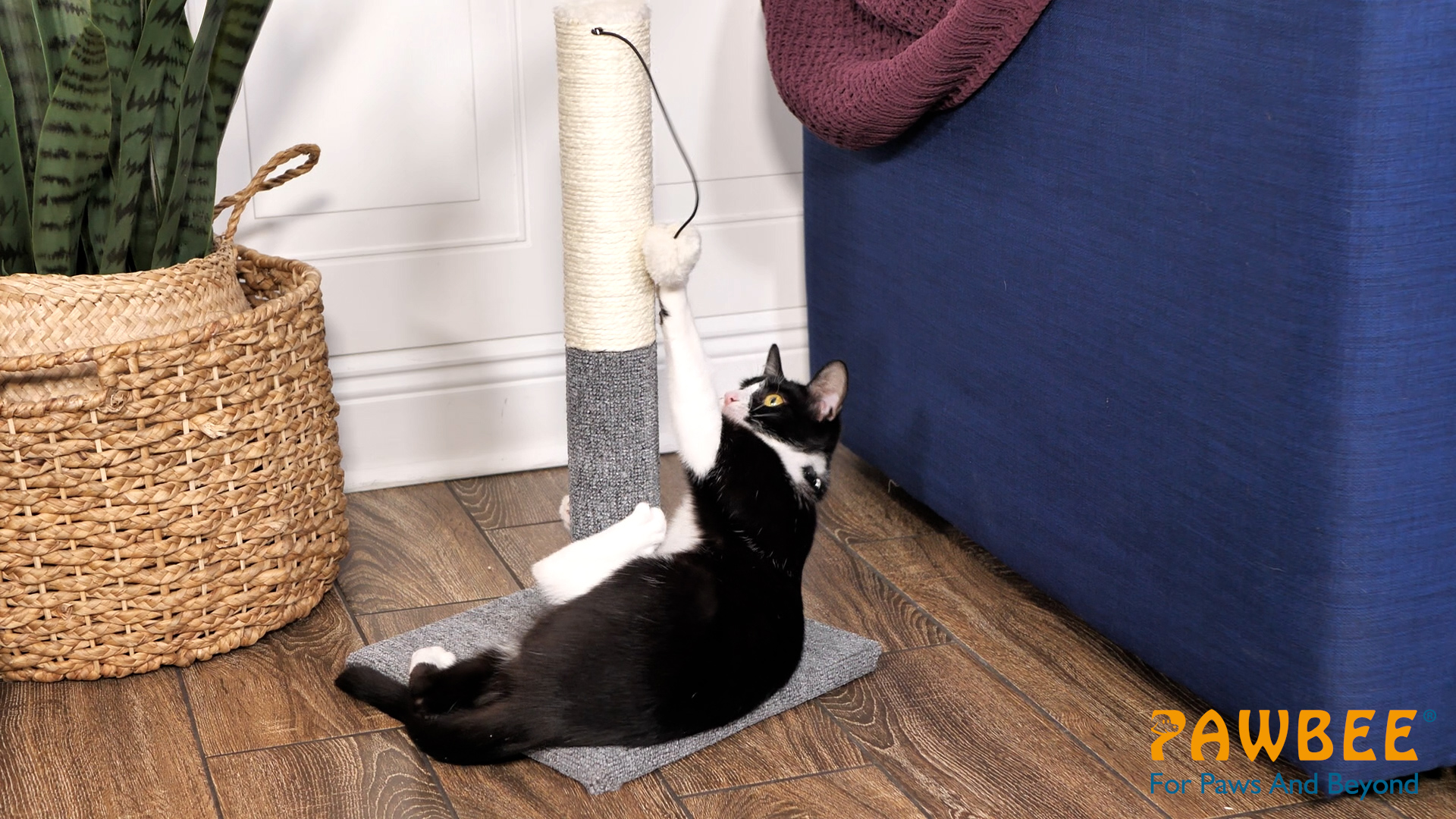 Kitten Toys Three Pole Scratching Post For Cats Durable And