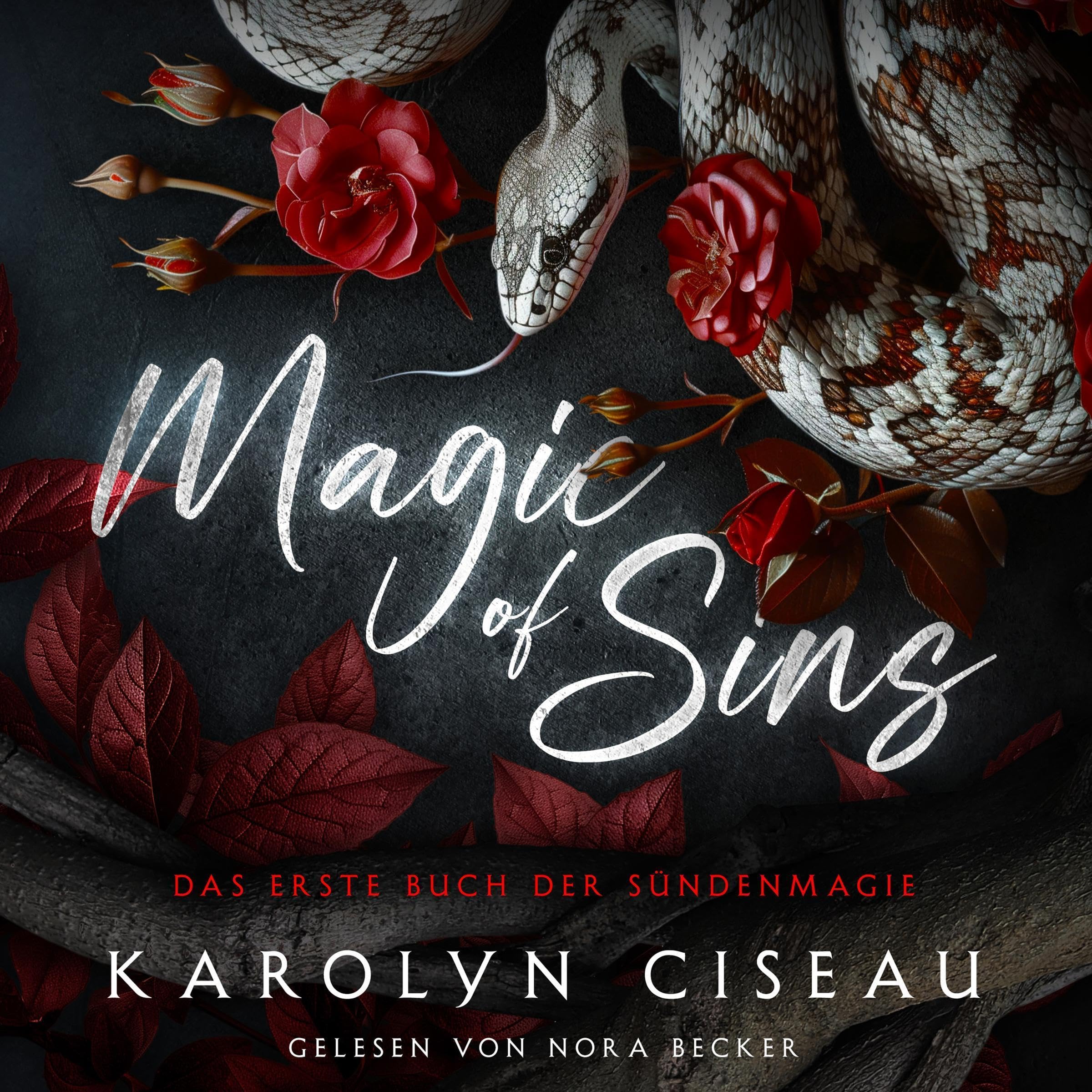 Cover art for Magic of Sins (German edition)