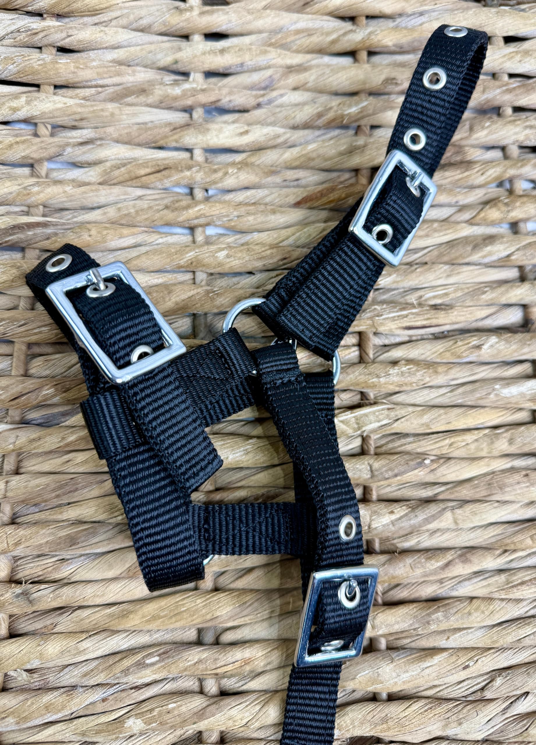 Mini Shetland Foal Headcollar -Tiny!- Adjustable Soft Webbing with Silver Fittings - Black/Navy/Pink/Blue Royal Blue