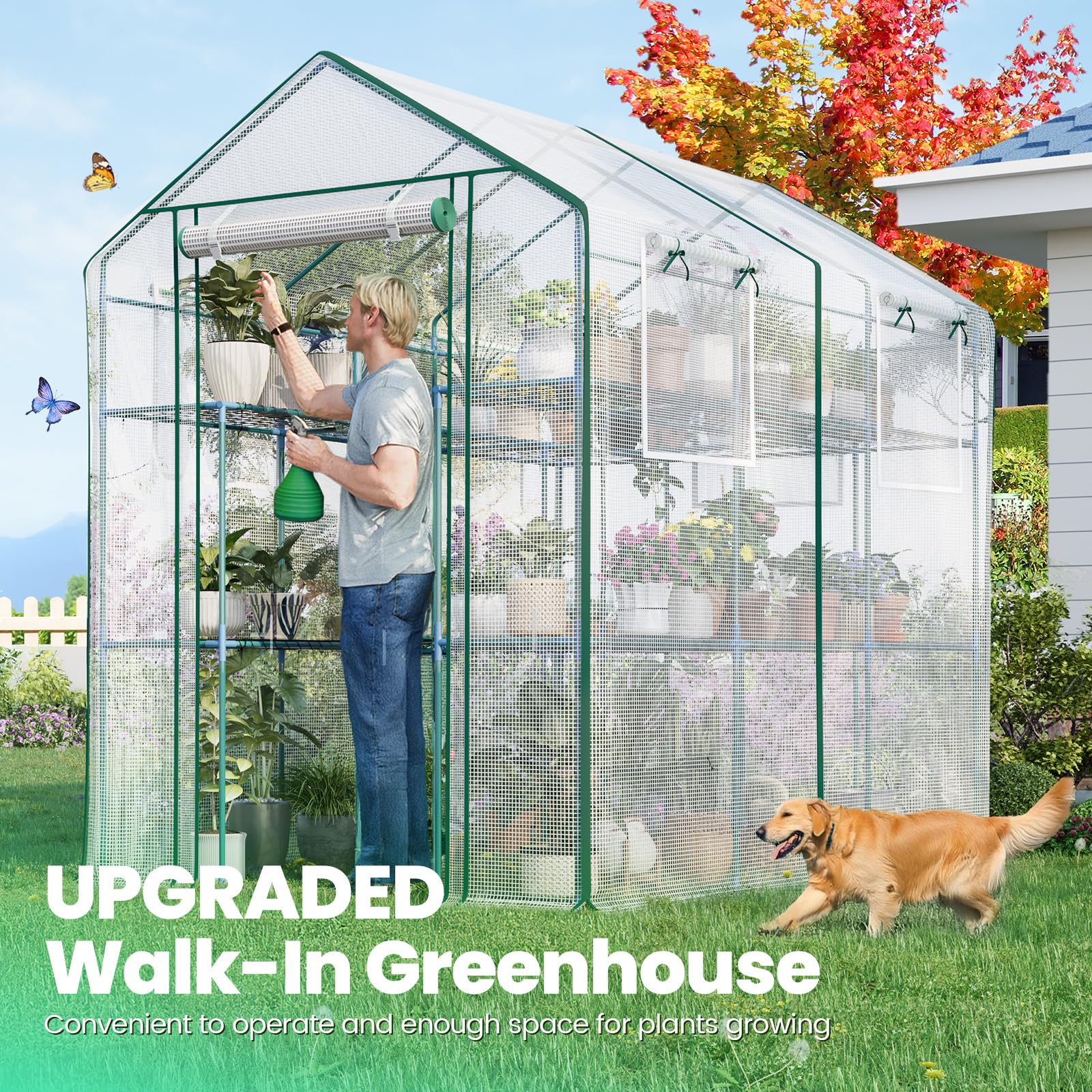 Amazon.com : KING BIRD Premium Greenhouse for Outdoors, 84 x 56 x
