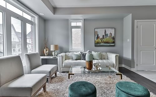 Living Room Design Ideas