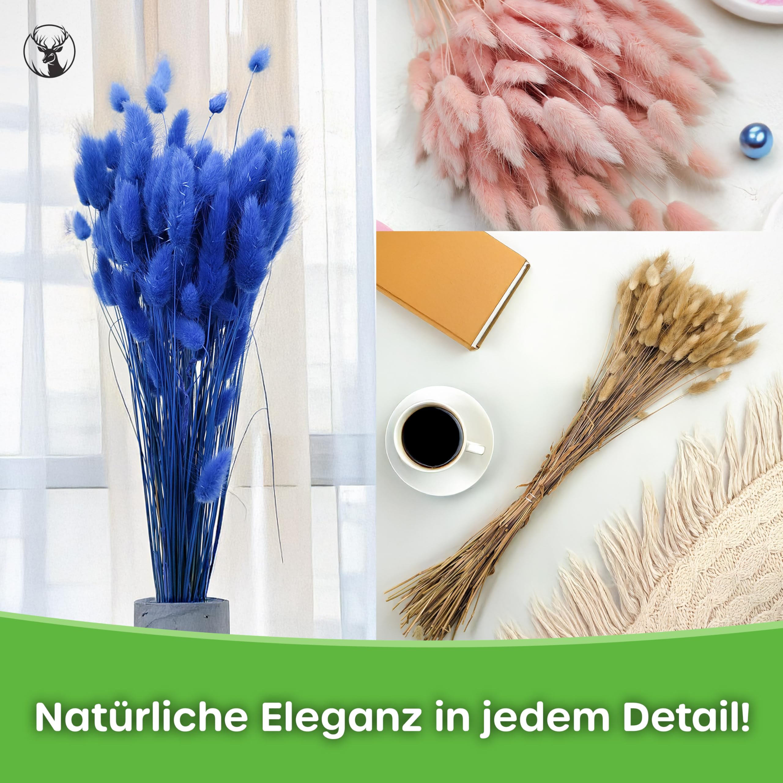 Enchanted Dekogras Getrocknetes Gras Ziergras Hasenschwänze Lagurus Ovatus Samtgras Häschen-Schwanzgras Trockenblumen Natürlich Boho 120 - 150 Stück 100 g Lachsrosa