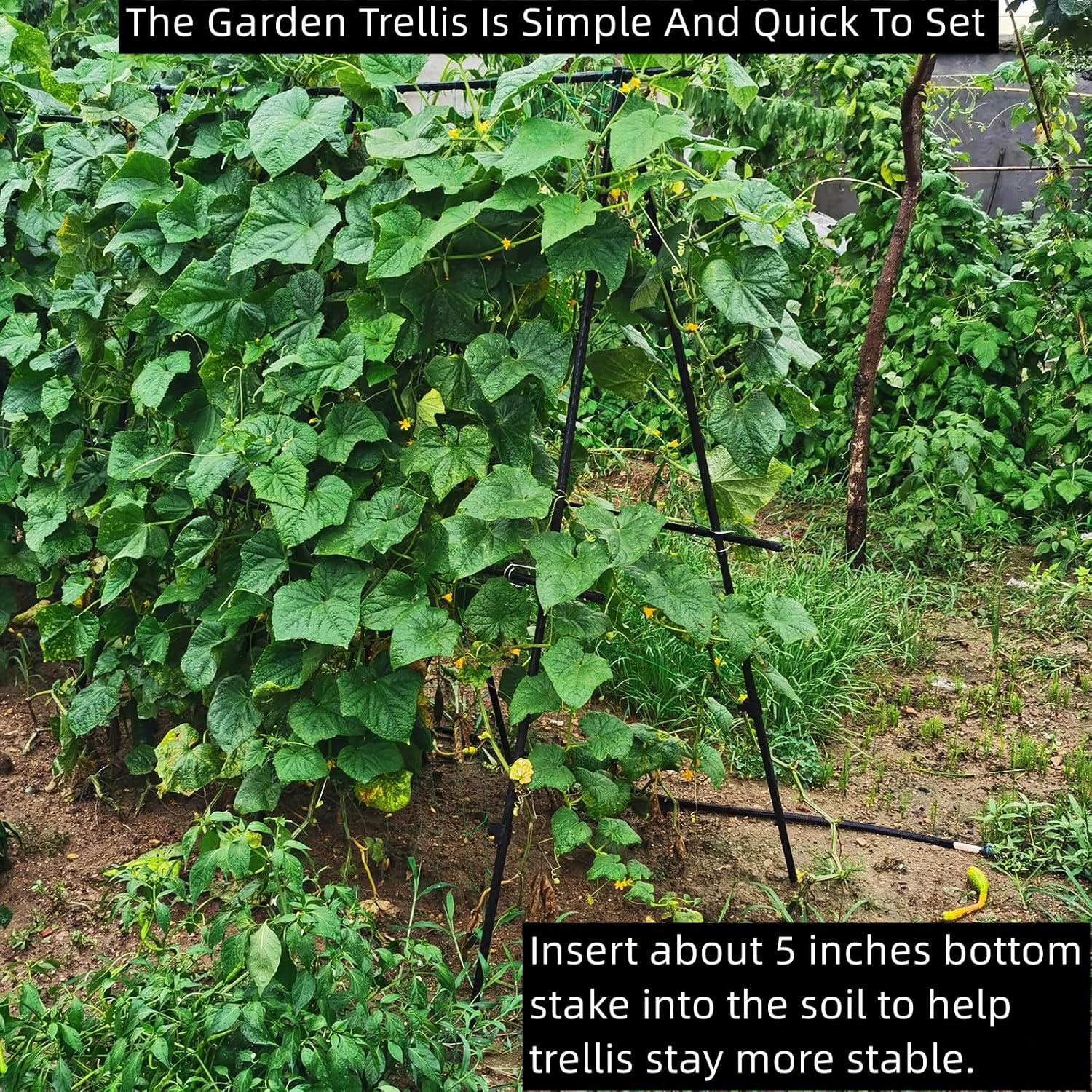 Cucumber Trellis 69.8" H x 36" W, A Frame Garden Trellis for Raised Bed Climbing Plants Metal+PE Coated Grow Support for Vines, Vegetables