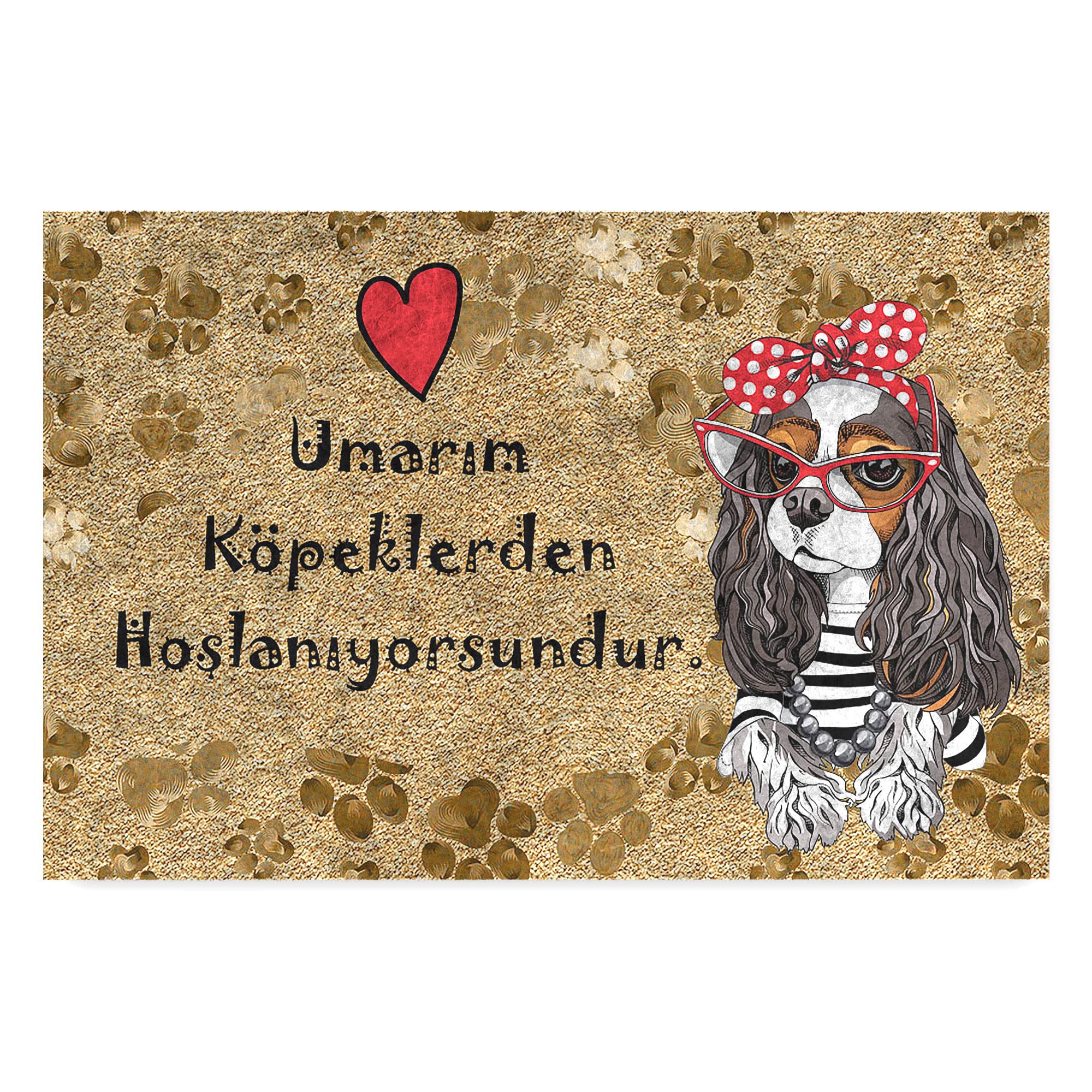 Monnhein Tasarımlı Dekoratif Kapı önü Paspas, Dış Mekan/Ev İçi/Banyo/Mutfak/Yatak Odası/Giriş Paspasları (Umarım Köpeklerden Hoşlanıyorsundur, 45X70)
