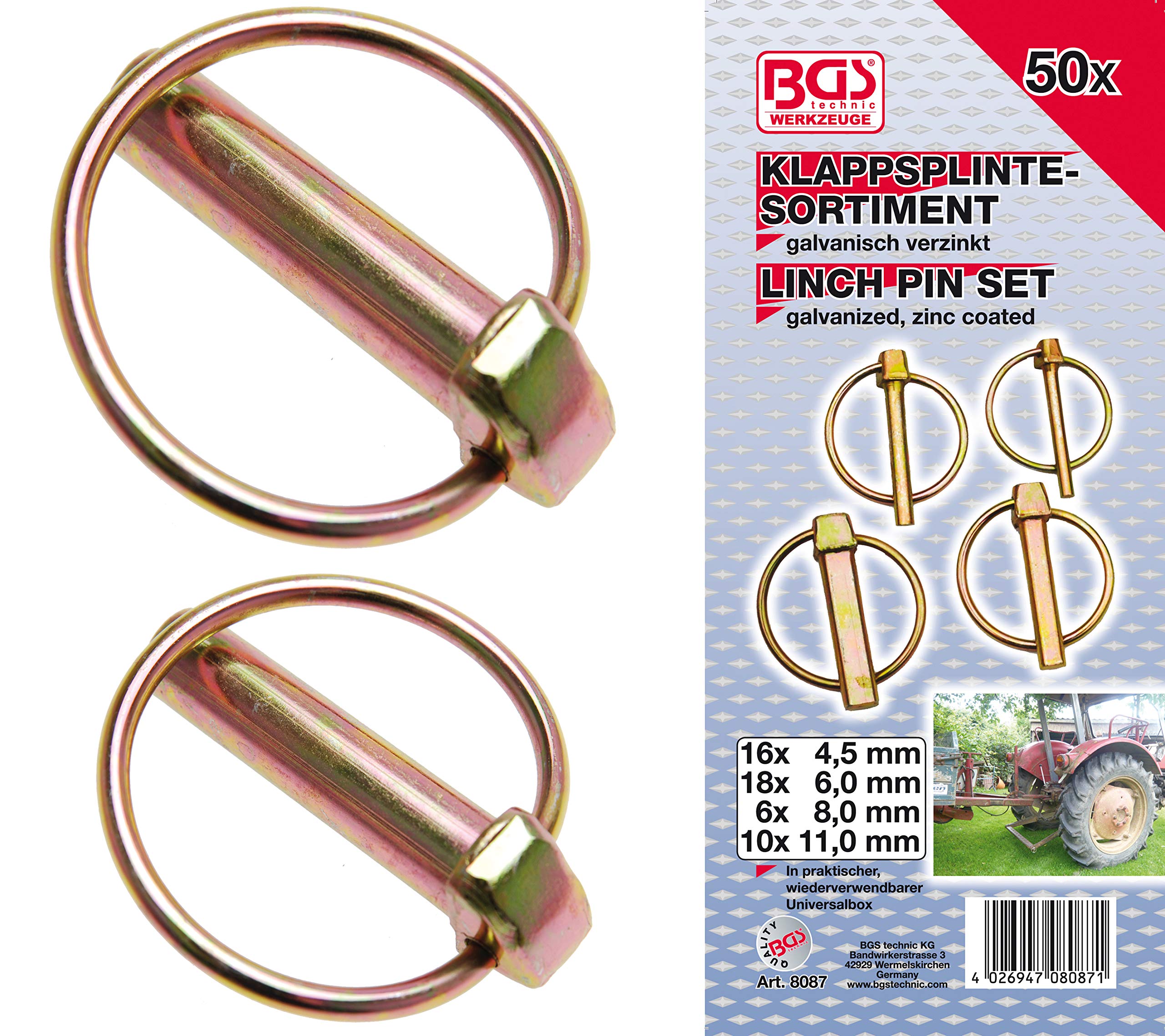 BGS8087 | Linchpin Assortment | 50 pcs.