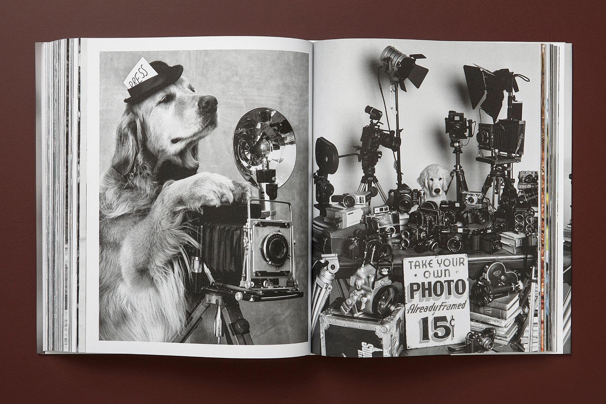 Bruce Weber: The Golden Retriever Photographic Society