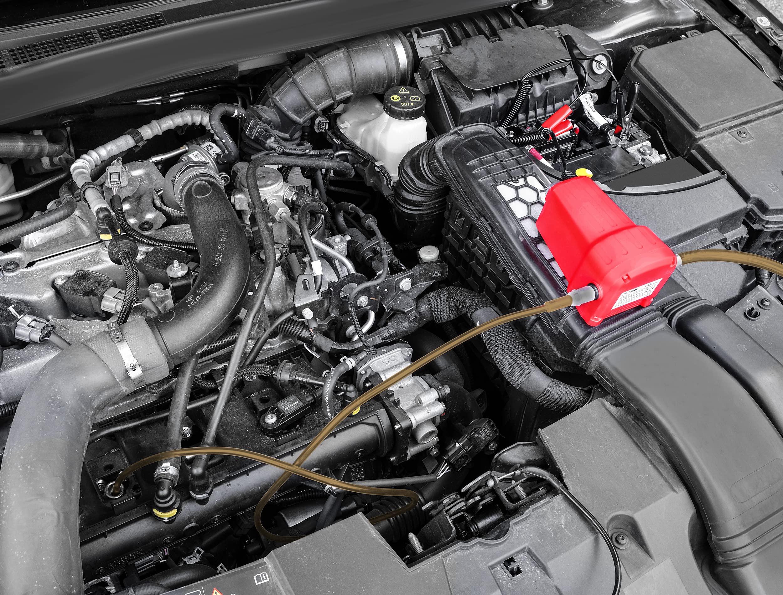 EUFAB 21014 - Pompa elettrica per aspirazione Olio Motore, 12V